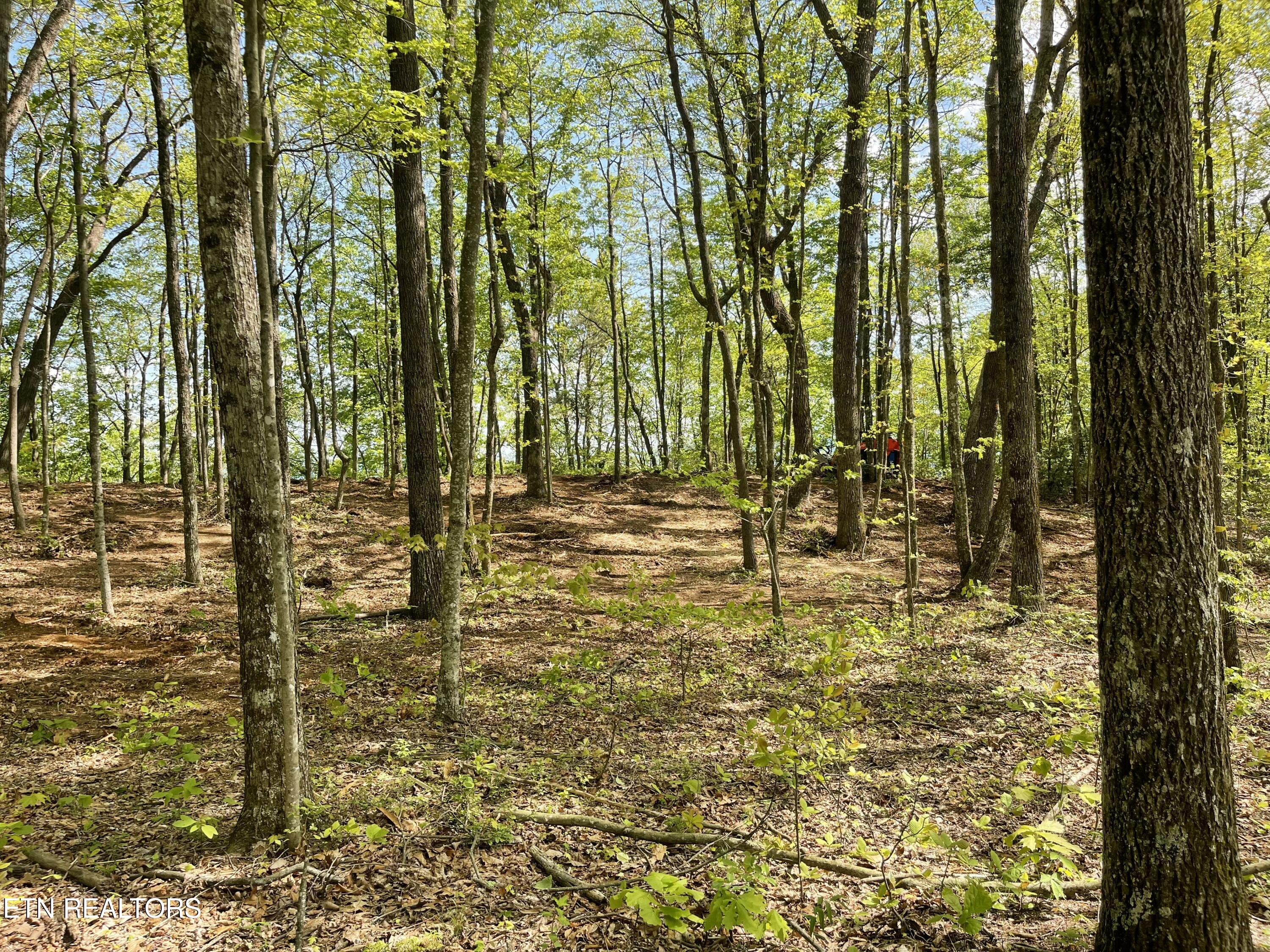 150 Timber Oaks Lane Pioneer TN 37847
