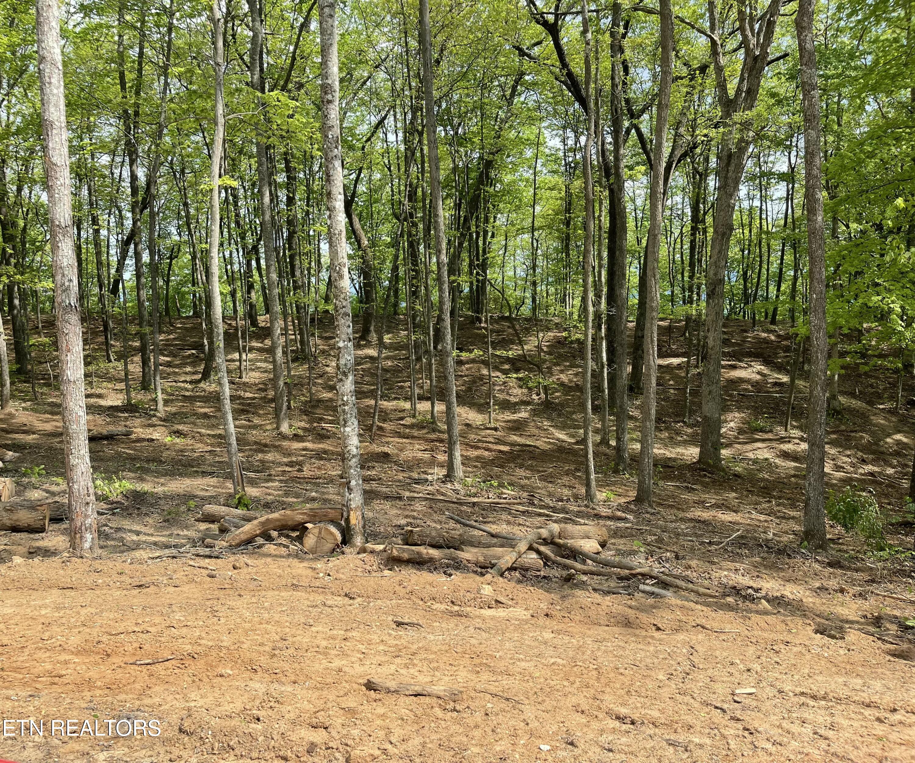 150 Timber Oaks Lane Pioneer TN 37847