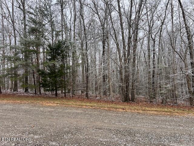 8+9 Slack Place Monterey TN 38574