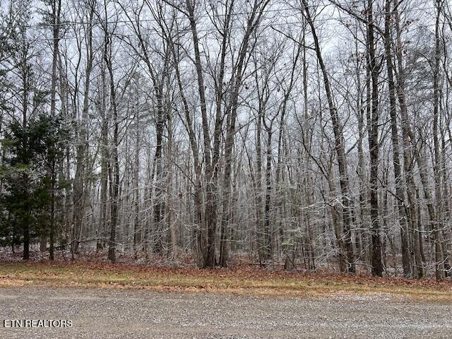 8+9 Slack Place Monterey TN 38574