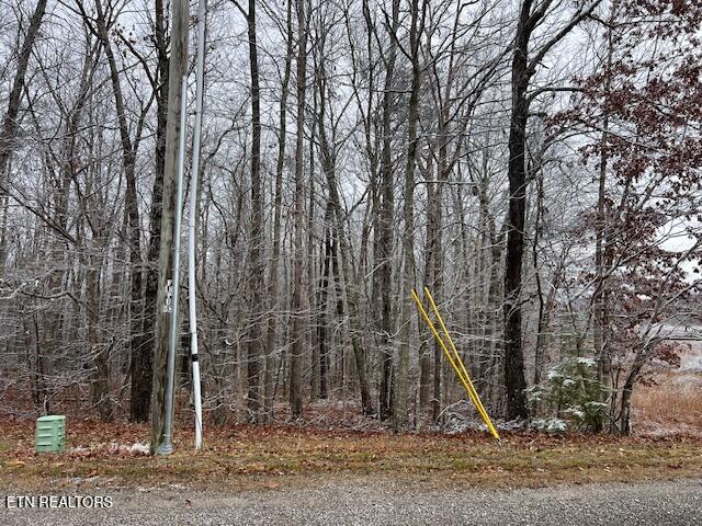 8+9 Slack Place Monterey TN 38574