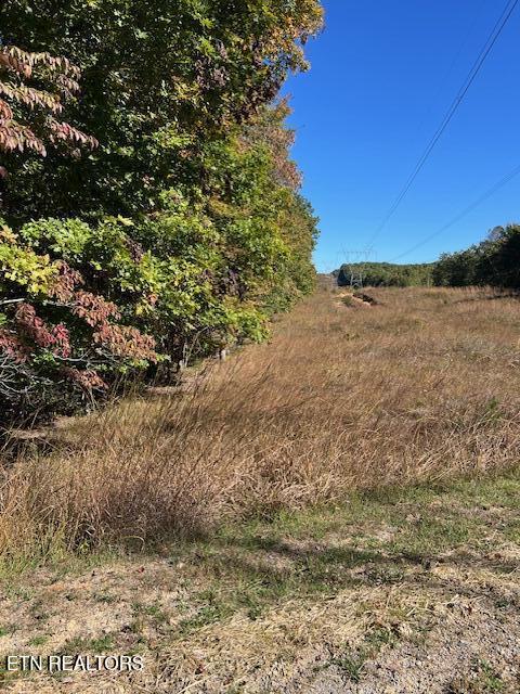 8+9 Slack Place Monterey TN 38574