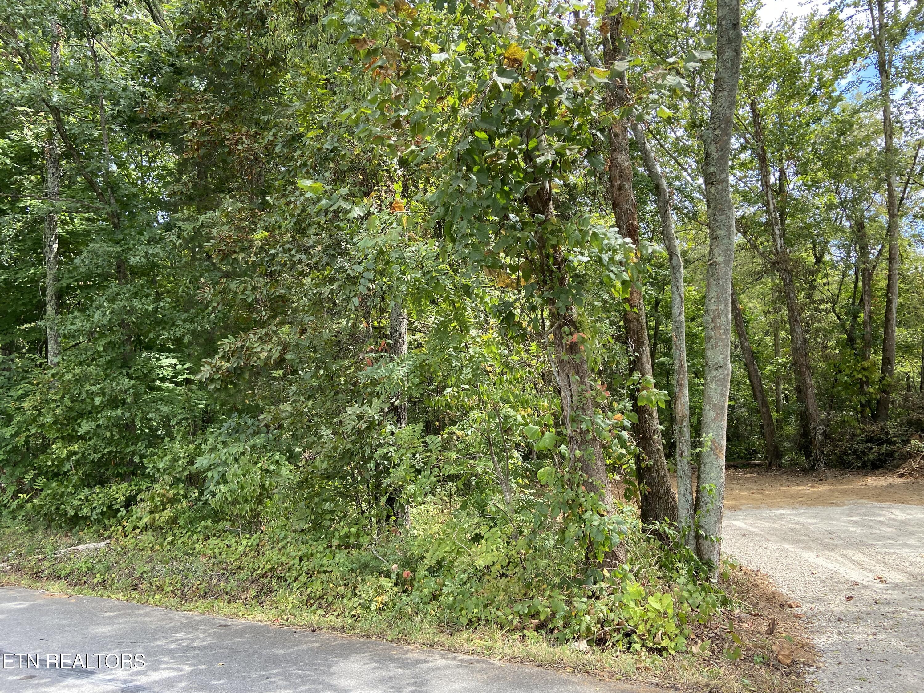 412 Alfred Mccammon Road Maryville TN 37804