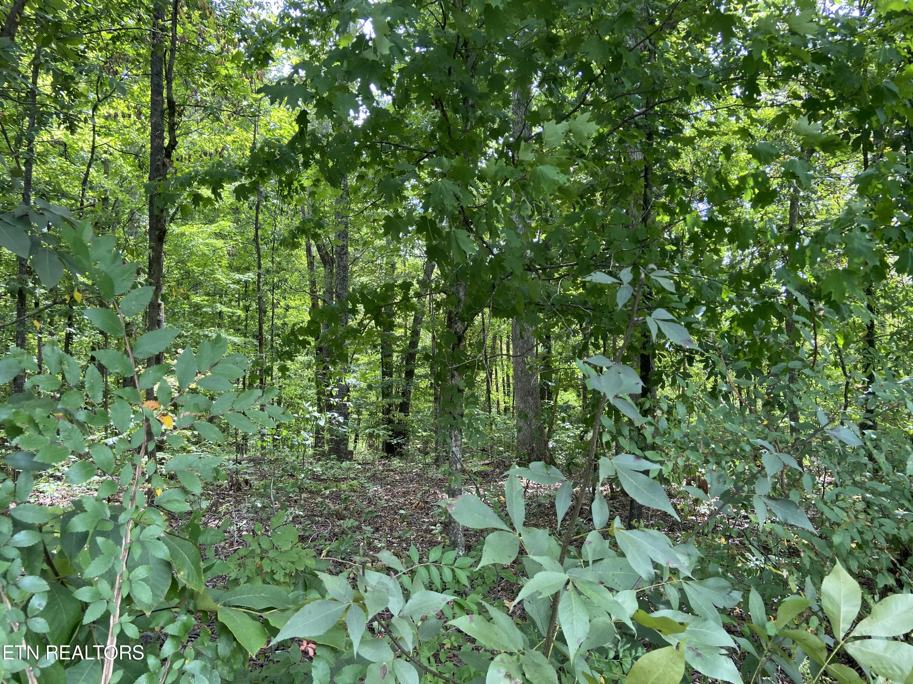 412 Alfred Mccammon Road Maryville TN 37804