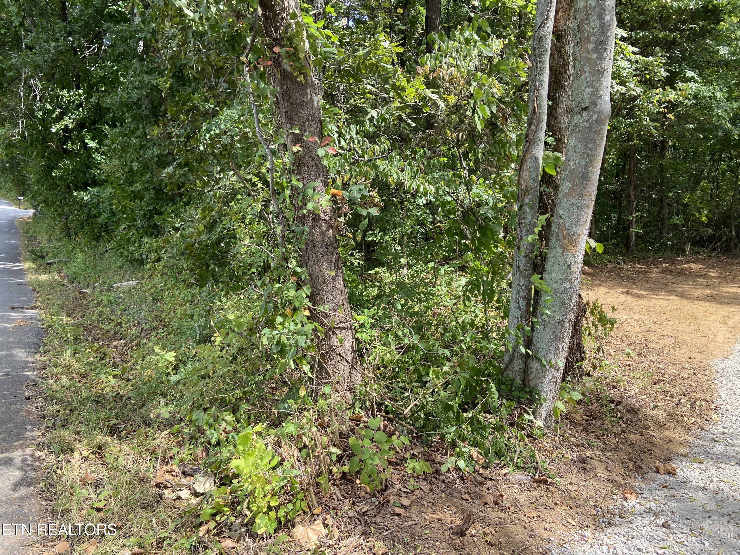 412 Alfred Mccammon Road Maryville TN 37804