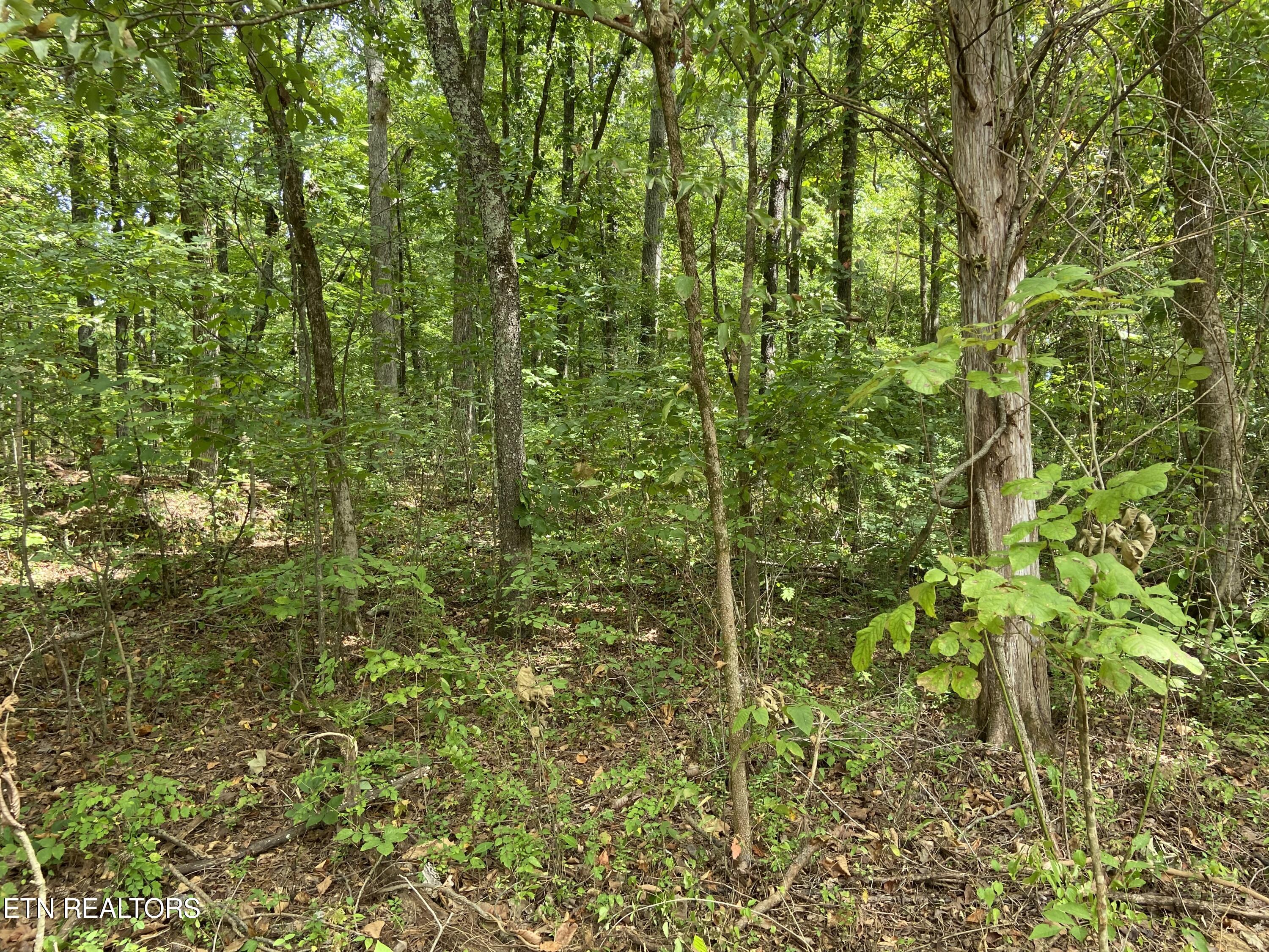 412 Alfred Mccammon Road Maryville TN 37804