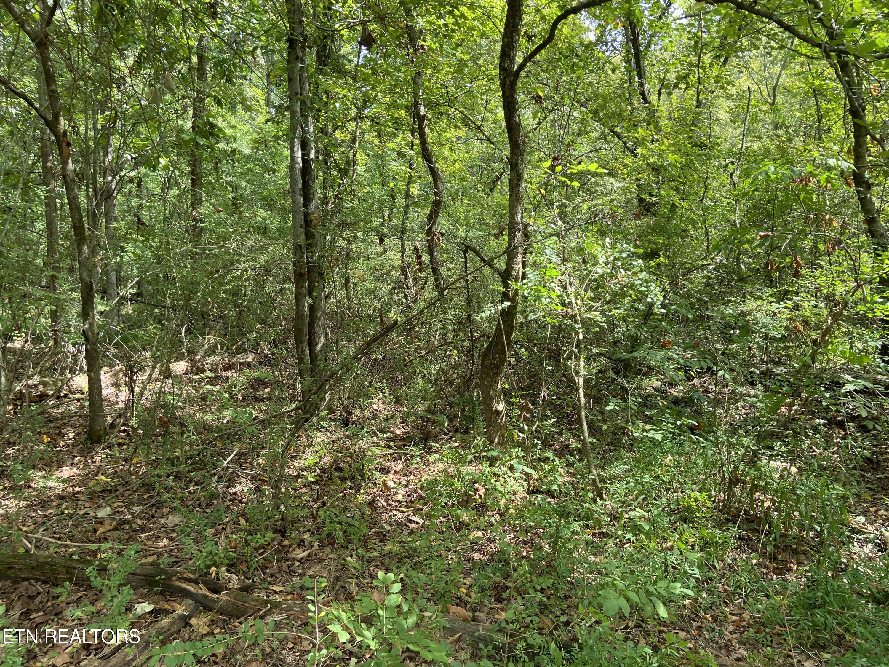 412 Alfred Mccammon Road Maryville TN 37804