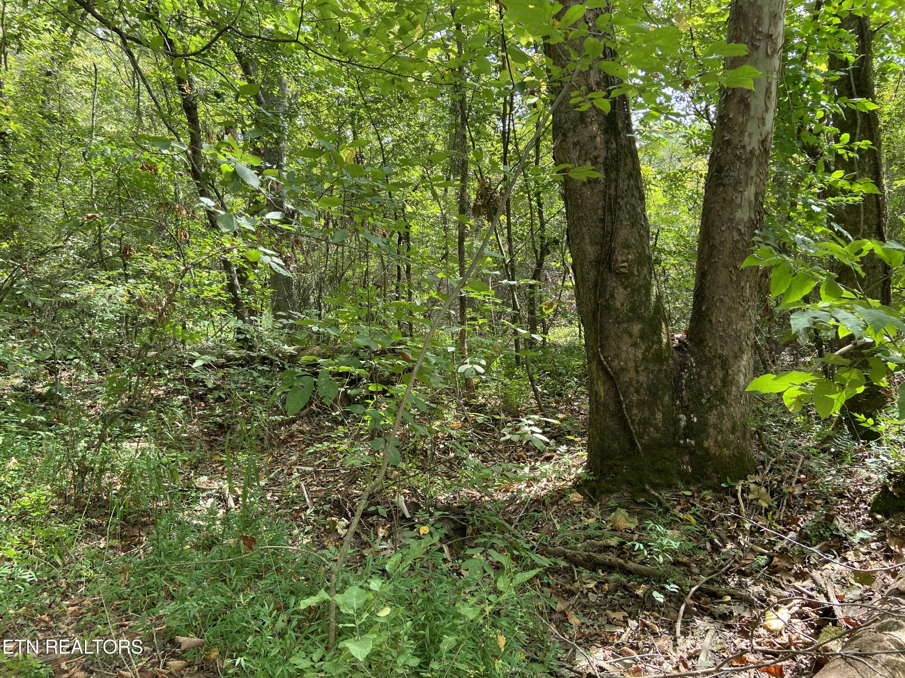 412 Alfred Mccammon Road Maryville TN 37804