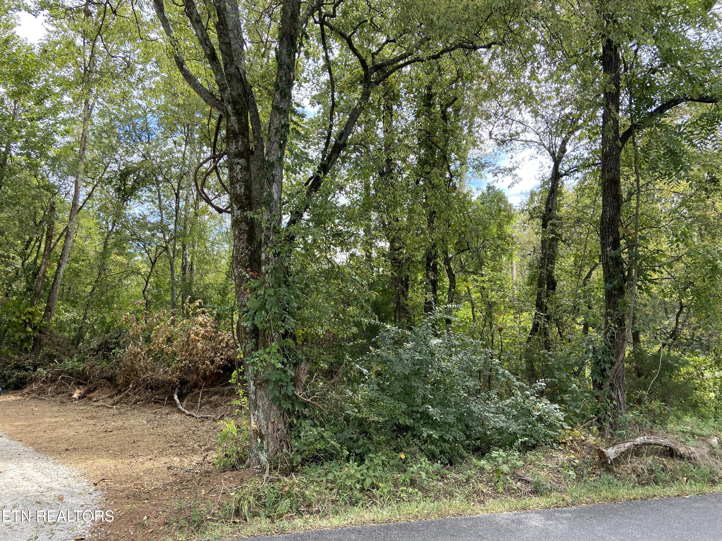 412 Alfred Mccammon Road Maryville TN 37804