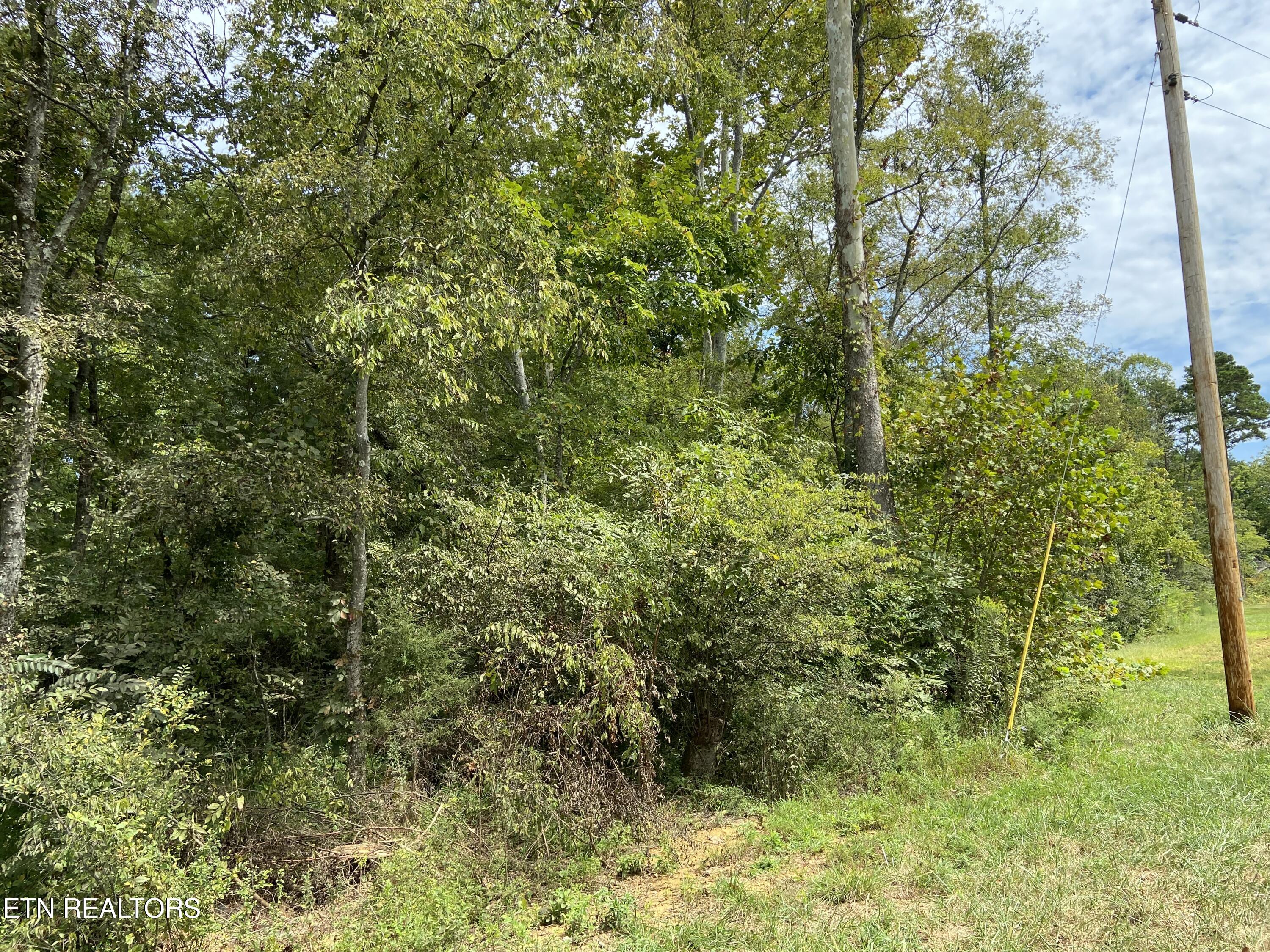 412 Alfred Mccammon Road Maryville TN 37804