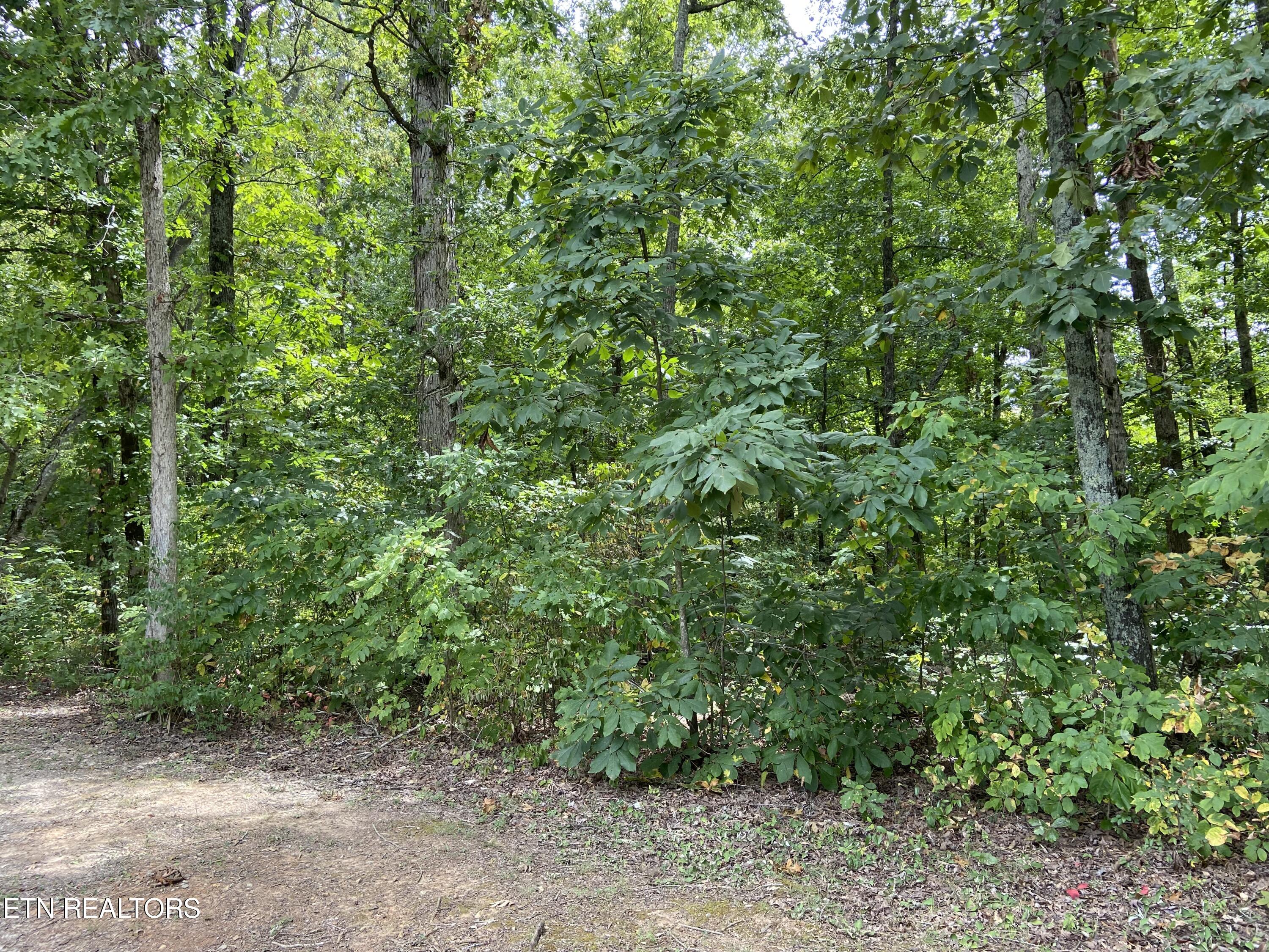 412 Alfred Mccammon Road Maryville TN 37804
