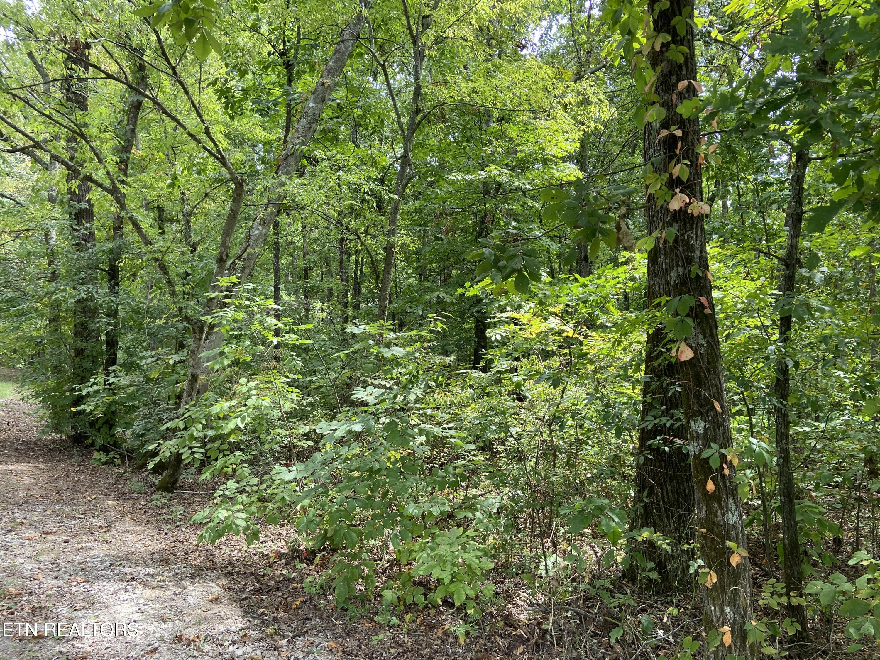412 Alfred Mccammon Road Maryville TN 37804
