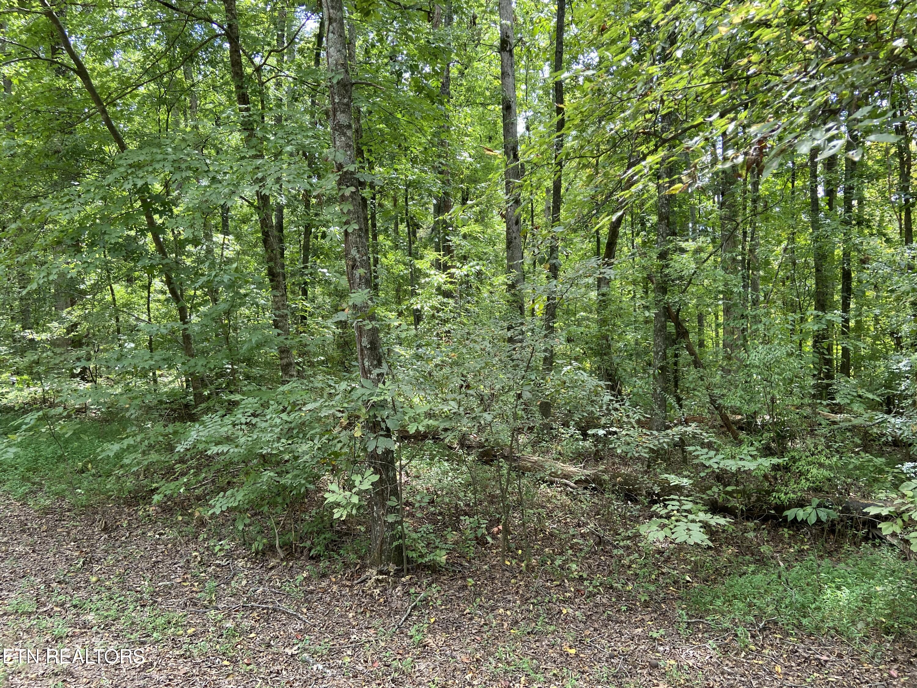 412 Alfred Mccammon Road Maryville TN 37804