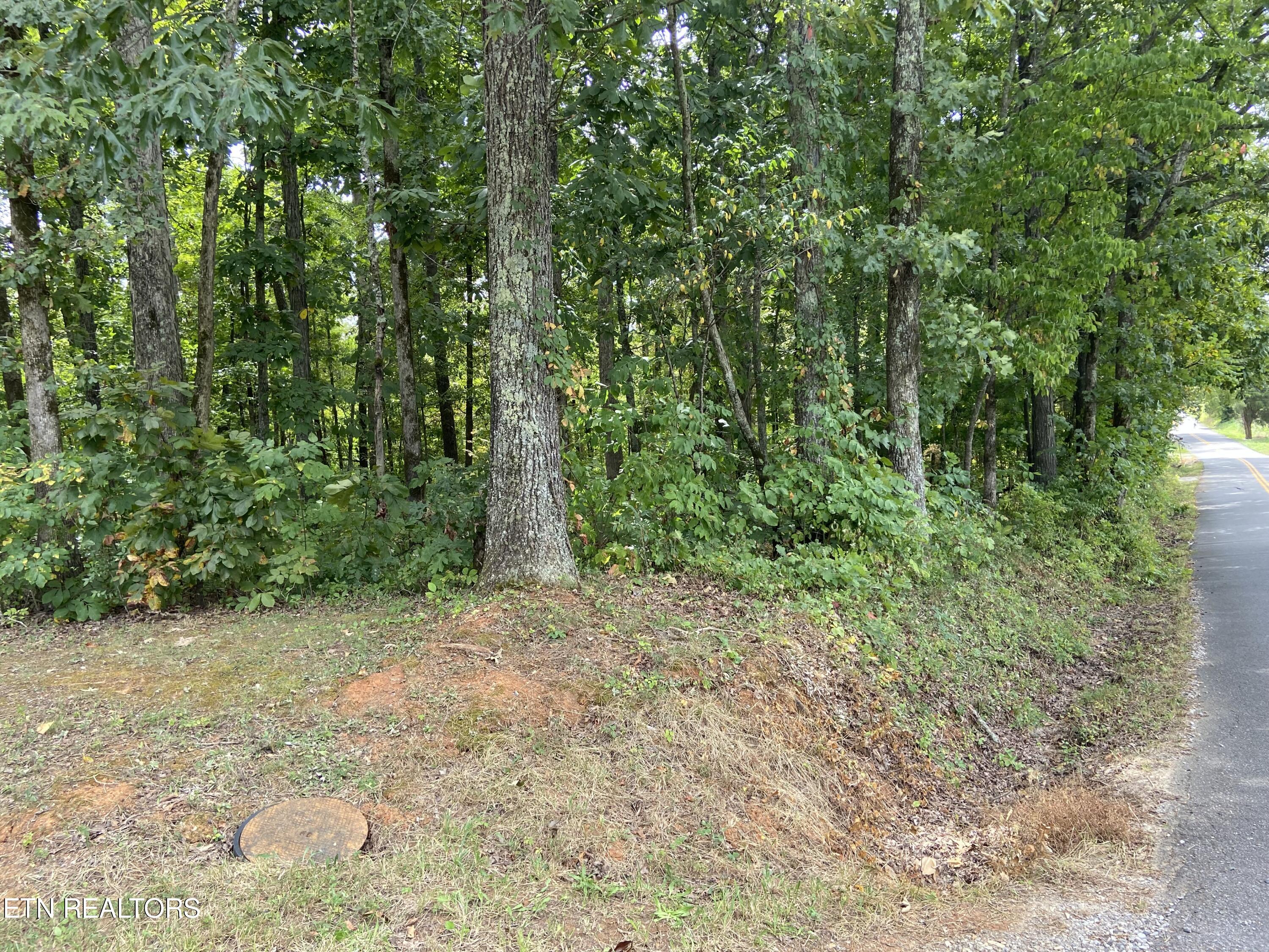 412 Alfred Mccammon Road Maryville TN 37804