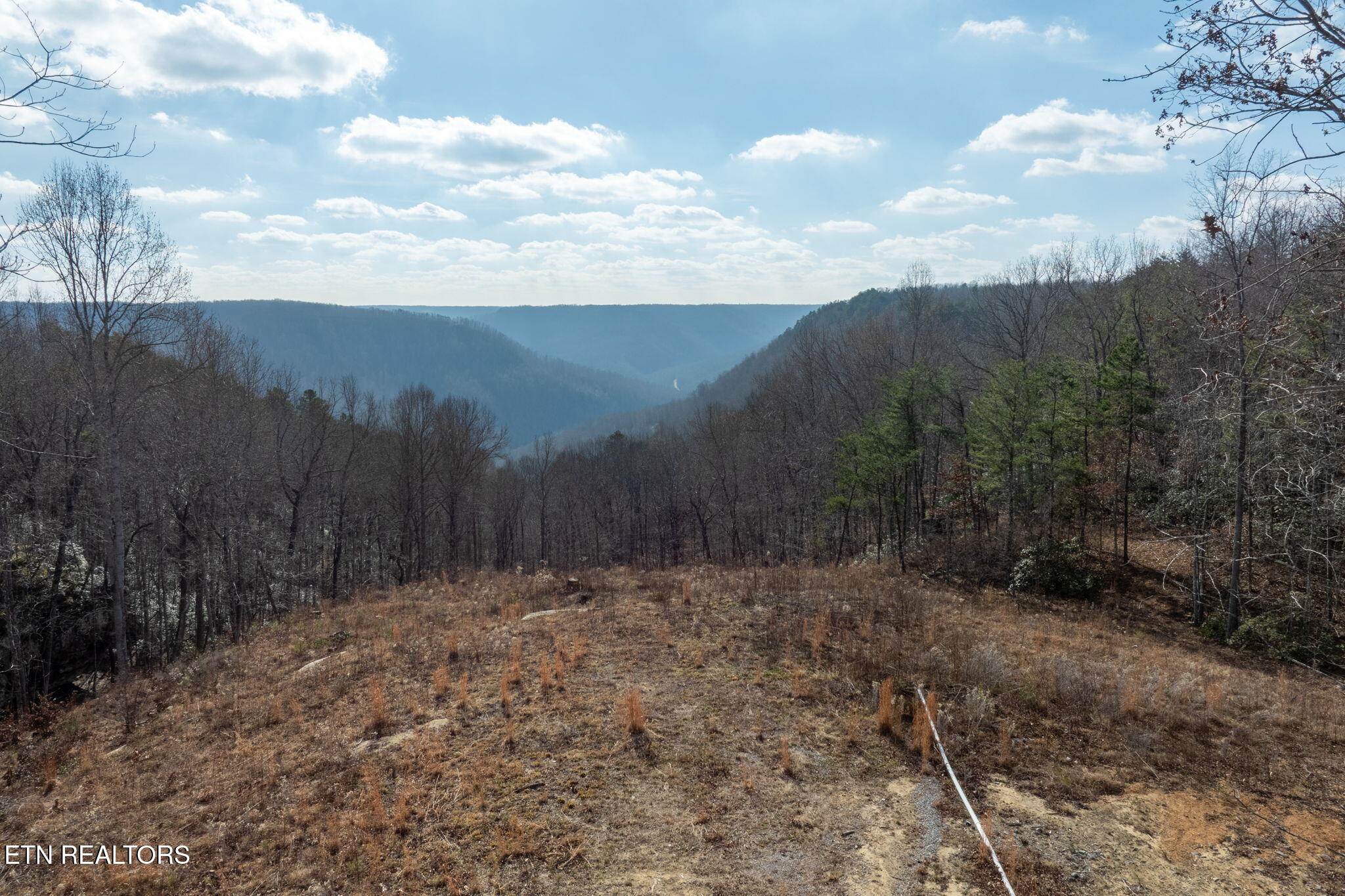722 Flat Top View Lane Wilder TN 38589
