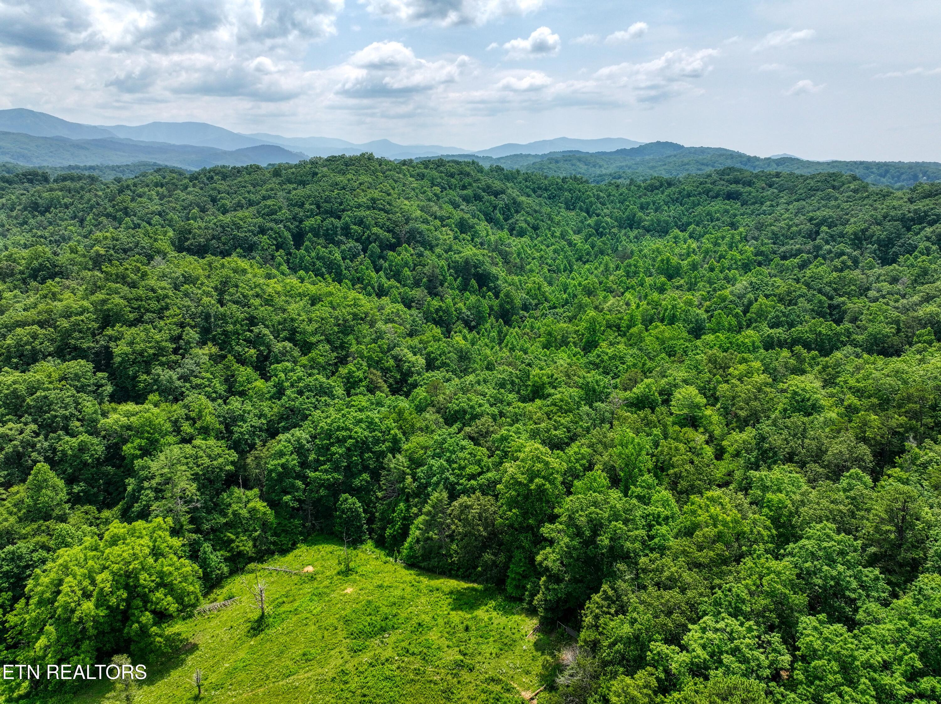 1A Birds Creek Road Gatlinburg TN 37738