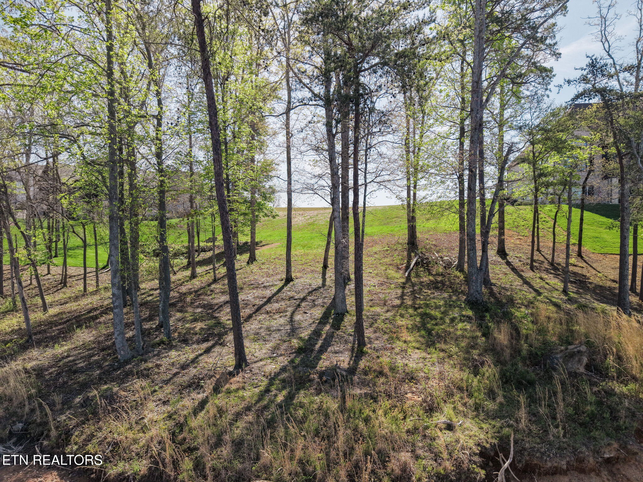 1276 Bower Court Lenoir City TN 37772