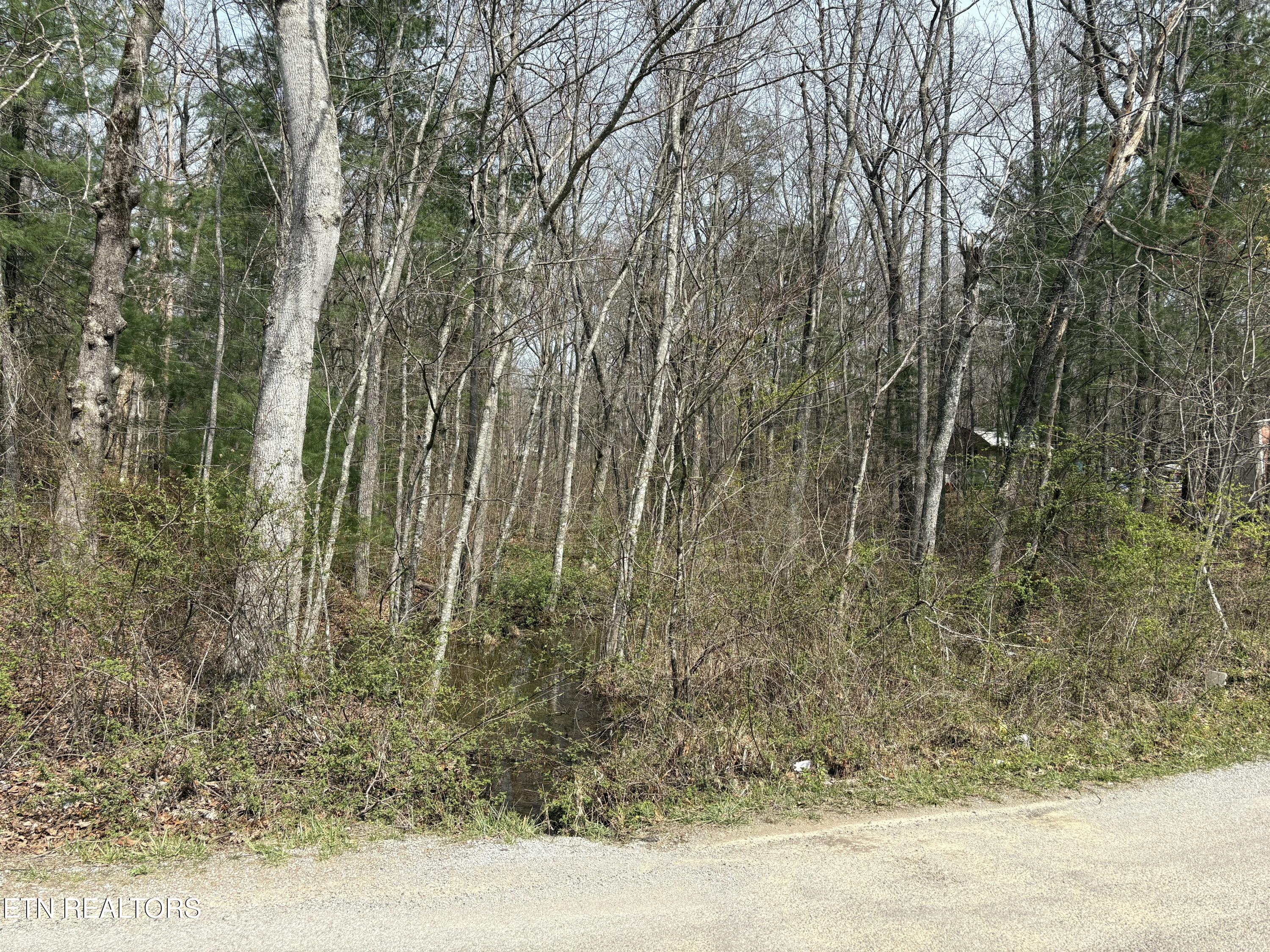 Brown Creek Drive Crossville TN 38571