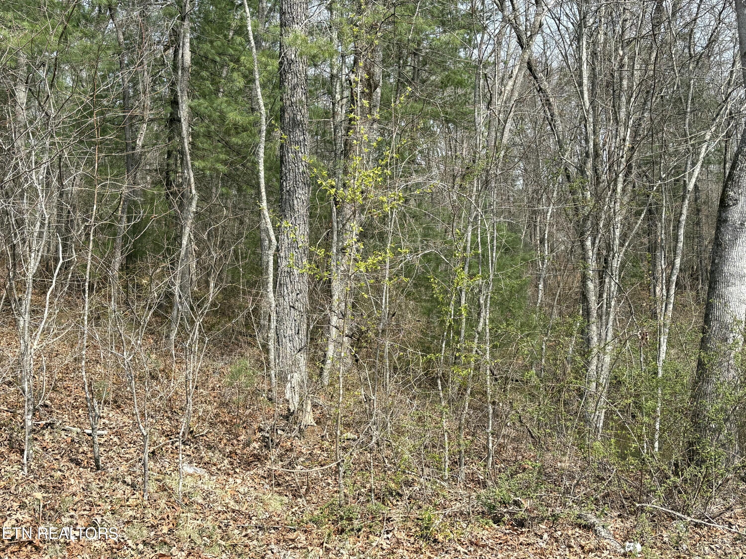 Brown Creek Drive Crossville TN 38571