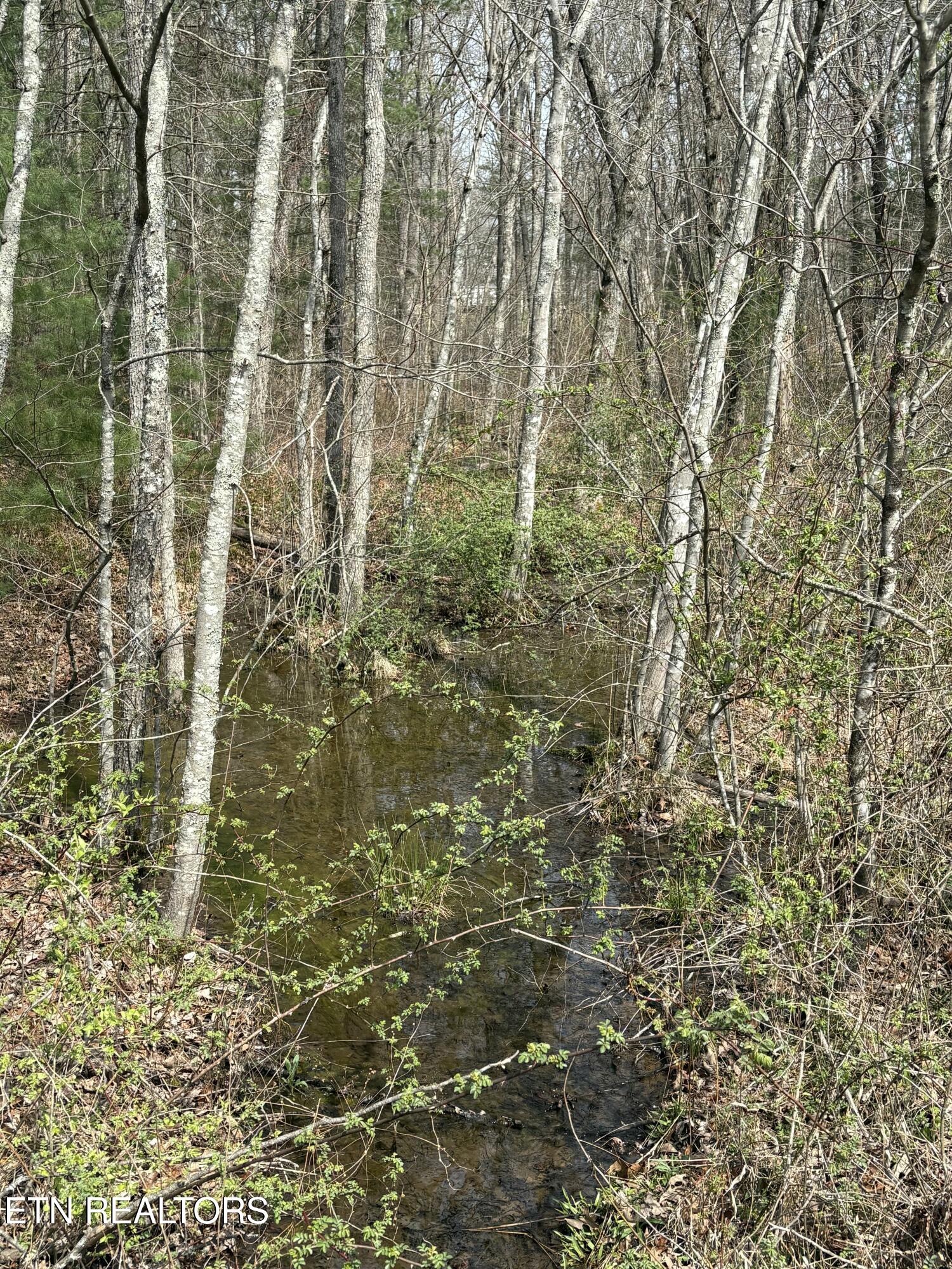 Brown Creek Drive Crossville TN 38571