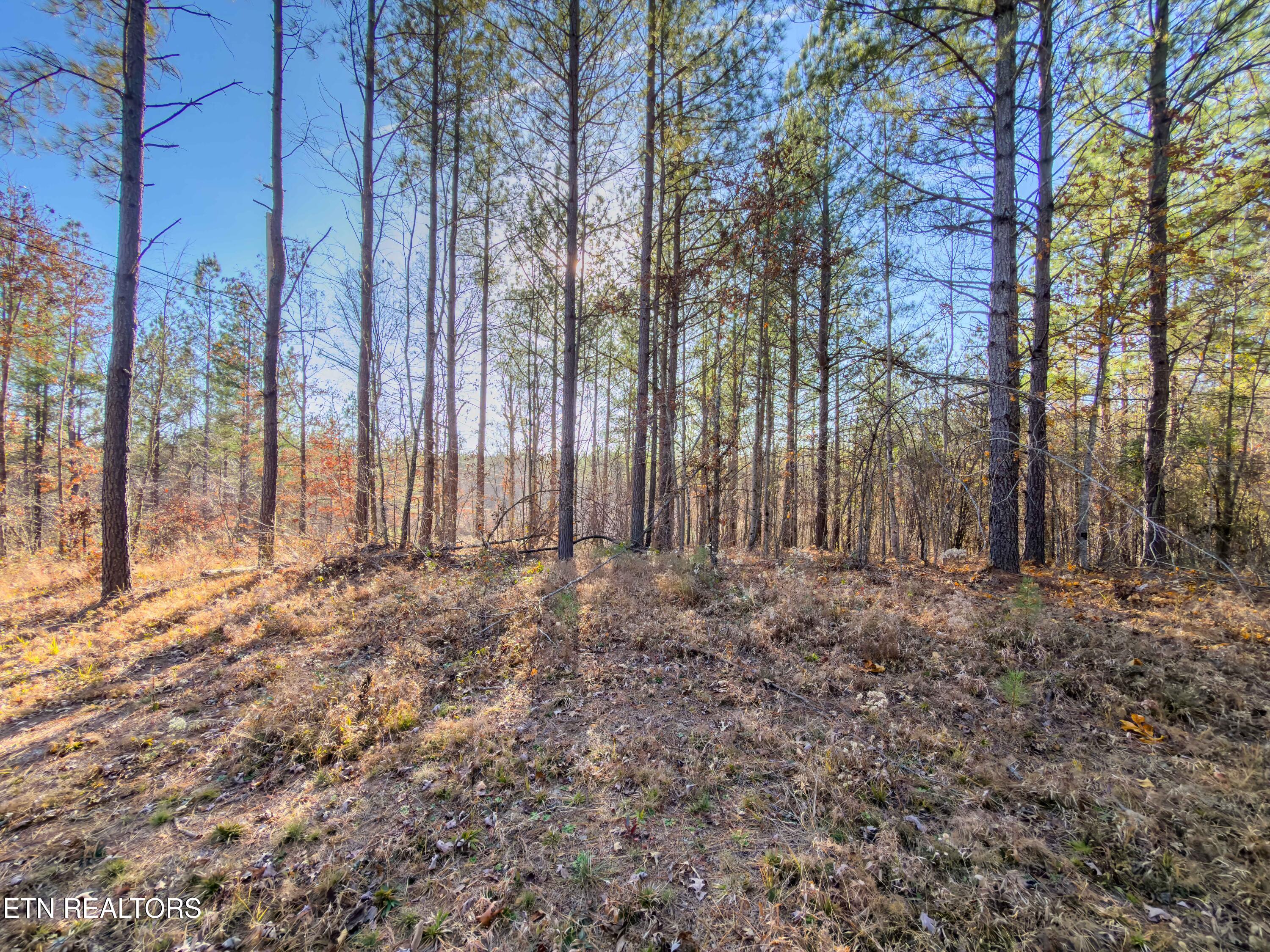 9745 Morgan County Highway Sunbright TN 37872