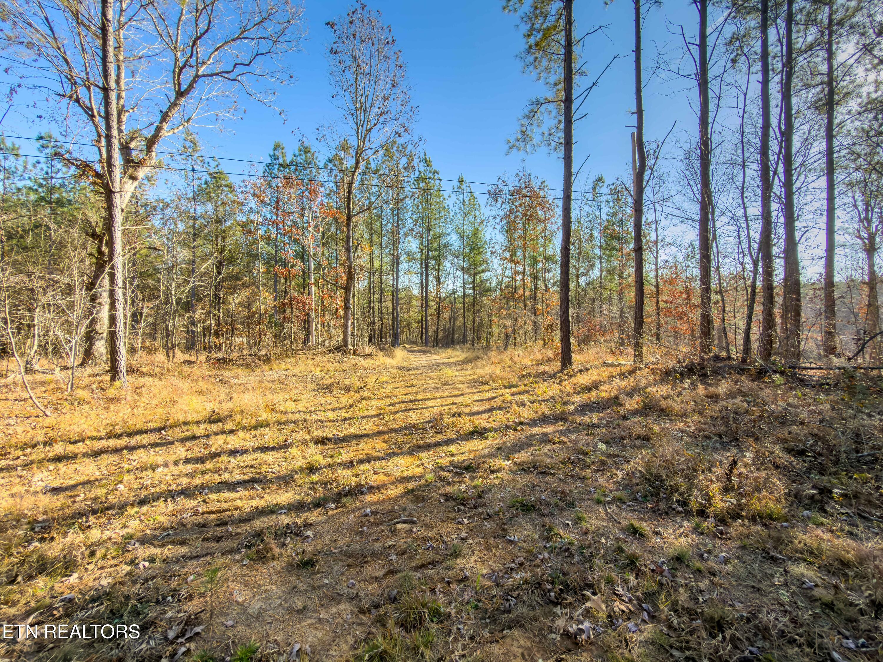 9745 Morgan County Highway Sunbright TN 37872