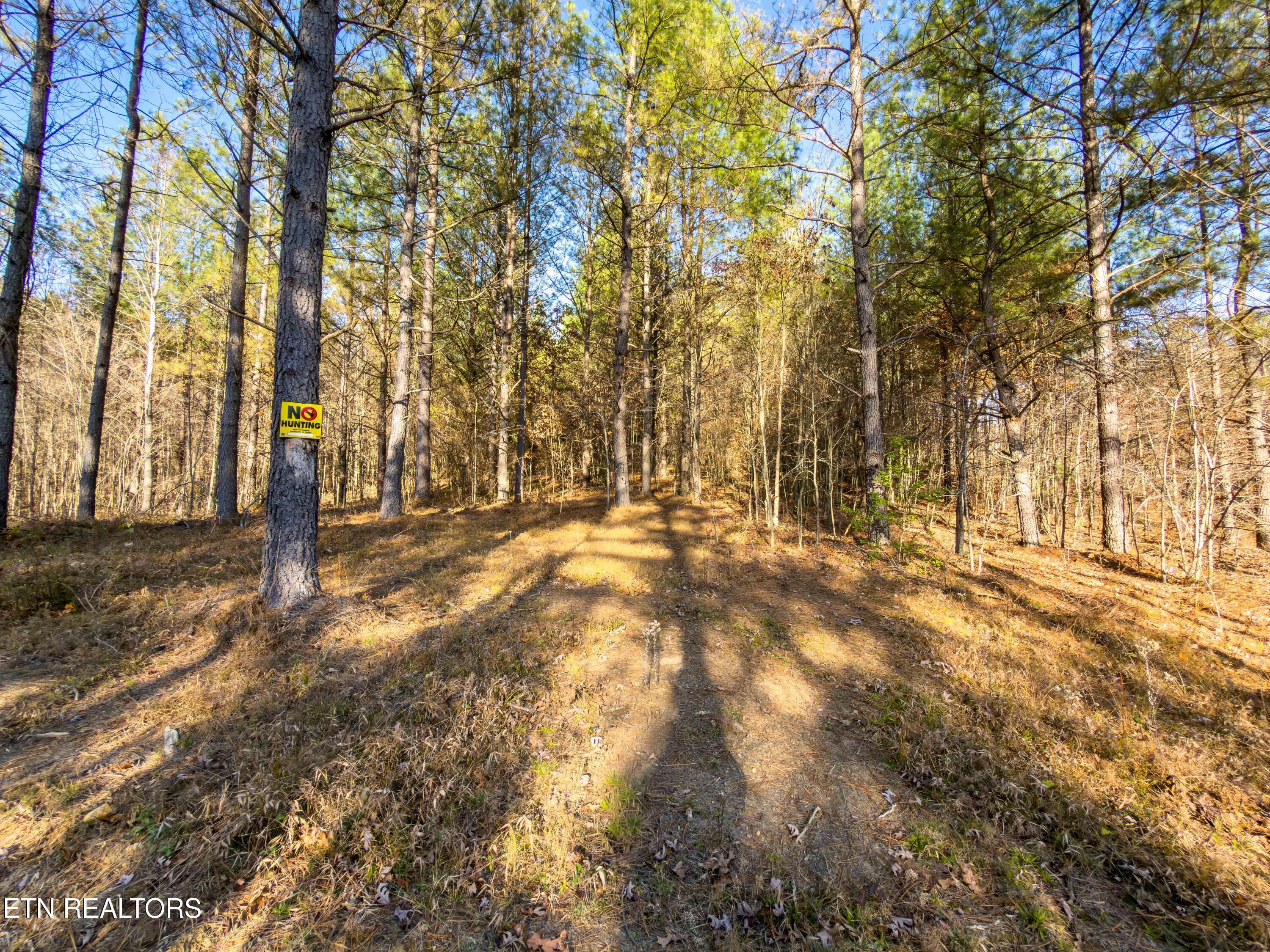 9745 Morgan County Highway Sunbright TN 37872