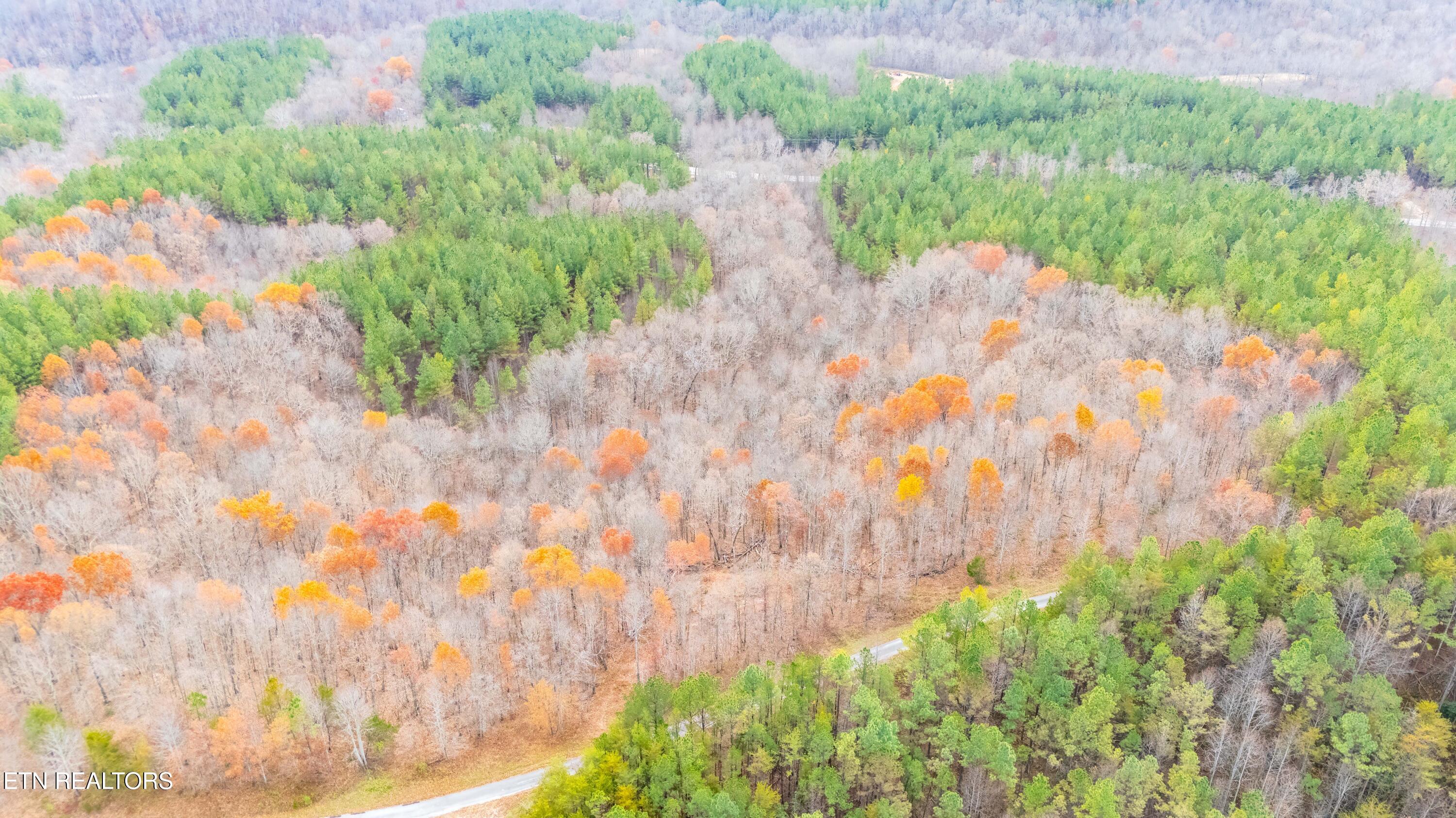 9745 Morgan County Highway Sunbright TN 37872