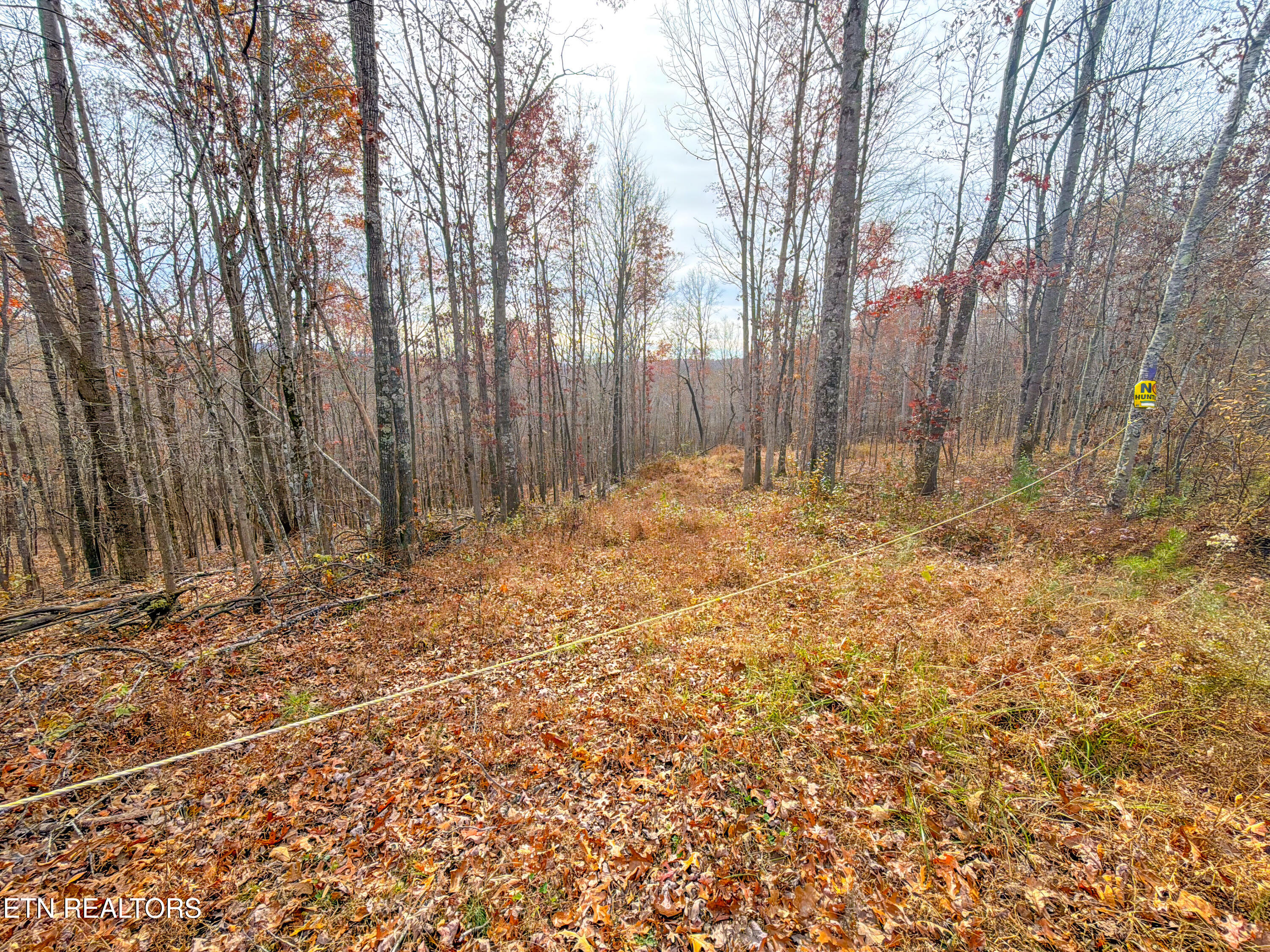 9745 Morgan County Highway Sunbright TN 37872