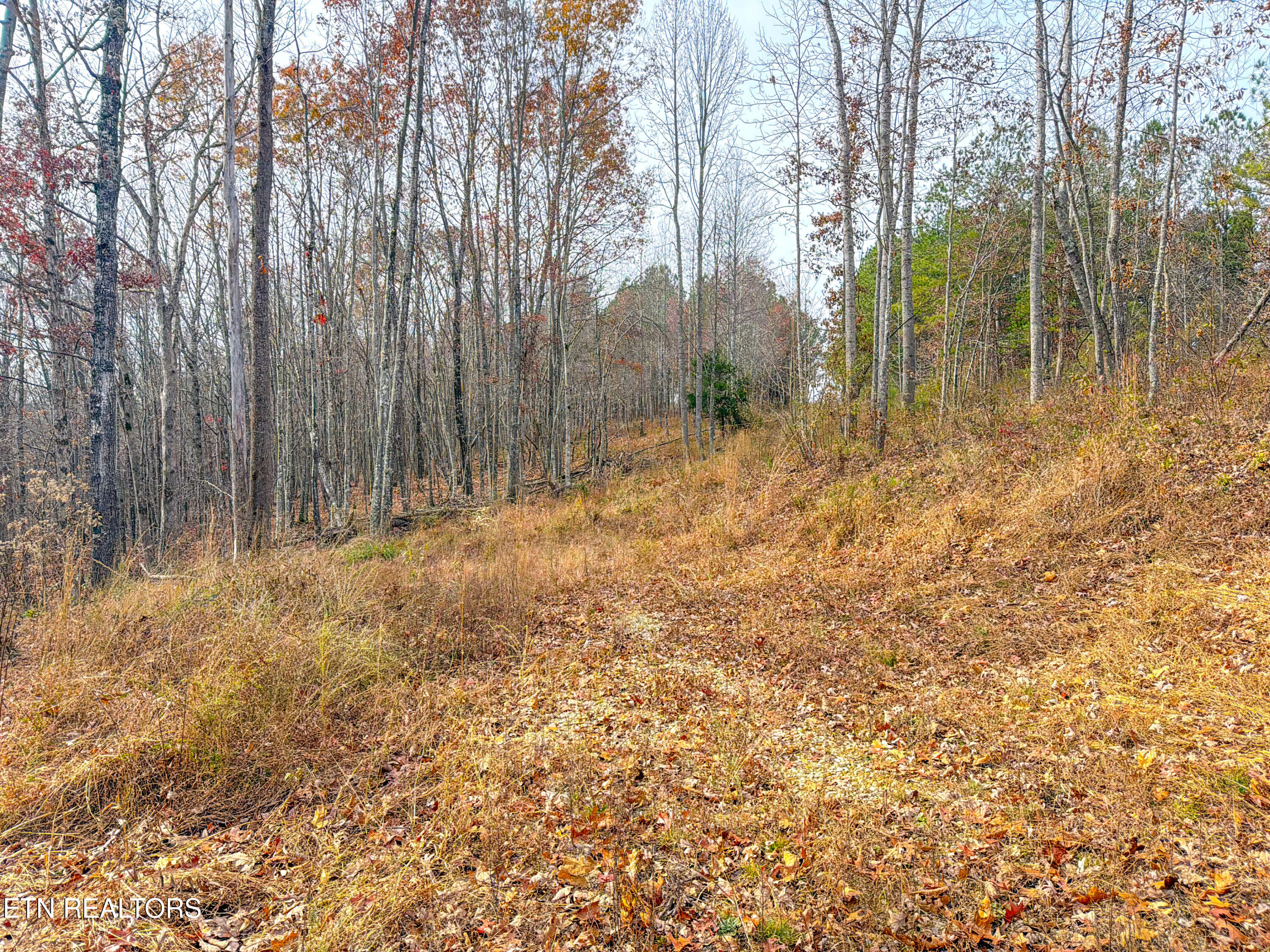 9745 Morgan County Highway Sunbright TN 37872