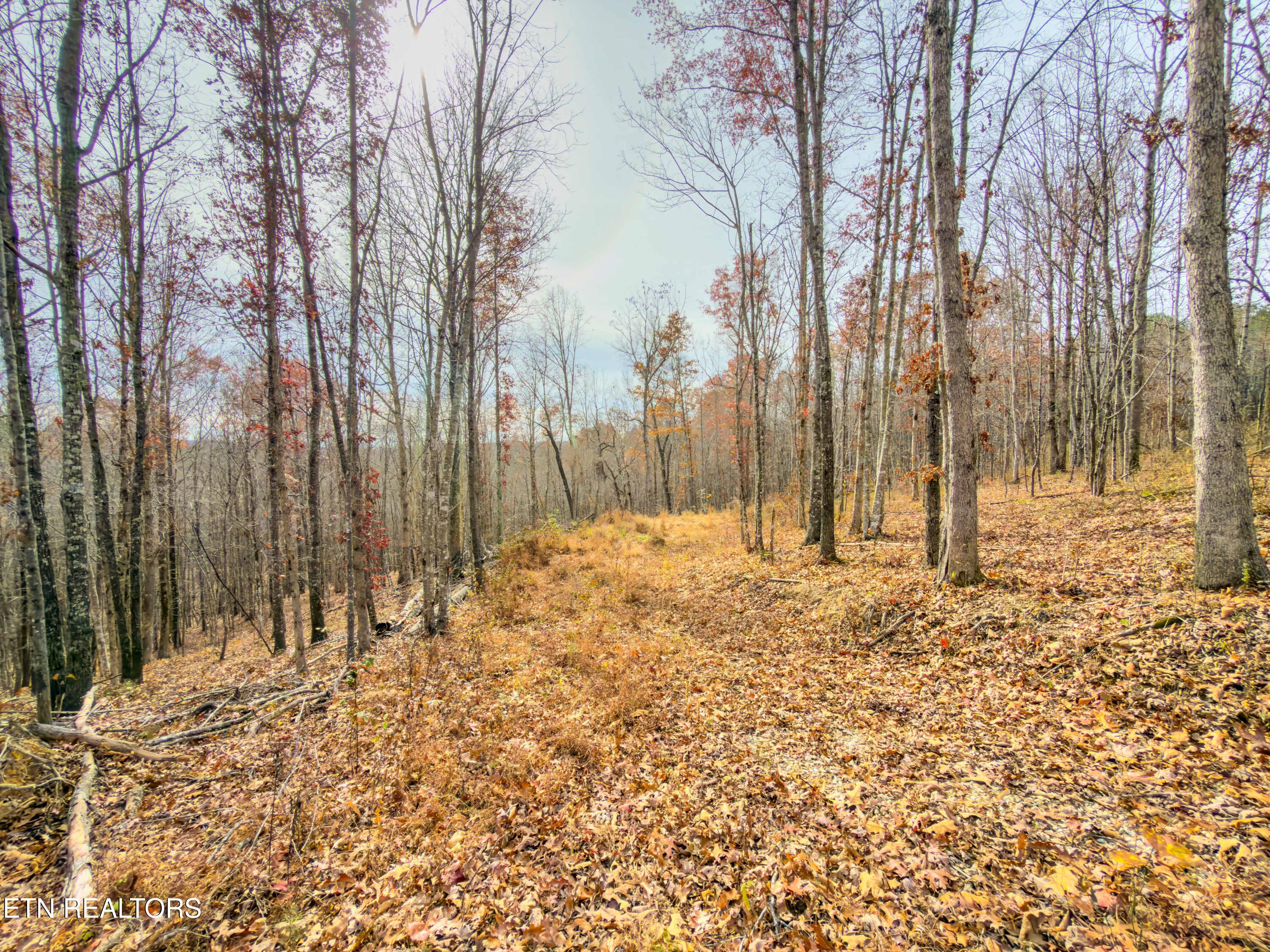 9745 Morgan County Highway Sunbright TN 37872