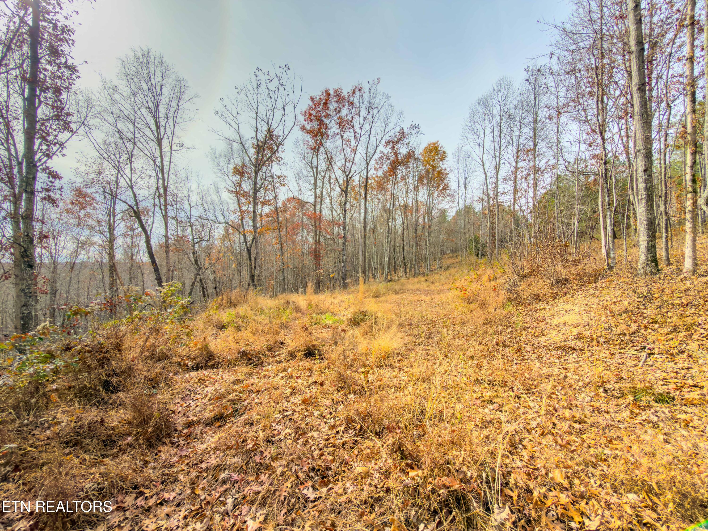 9745 Morgan County Highway Sunbright TN 37872