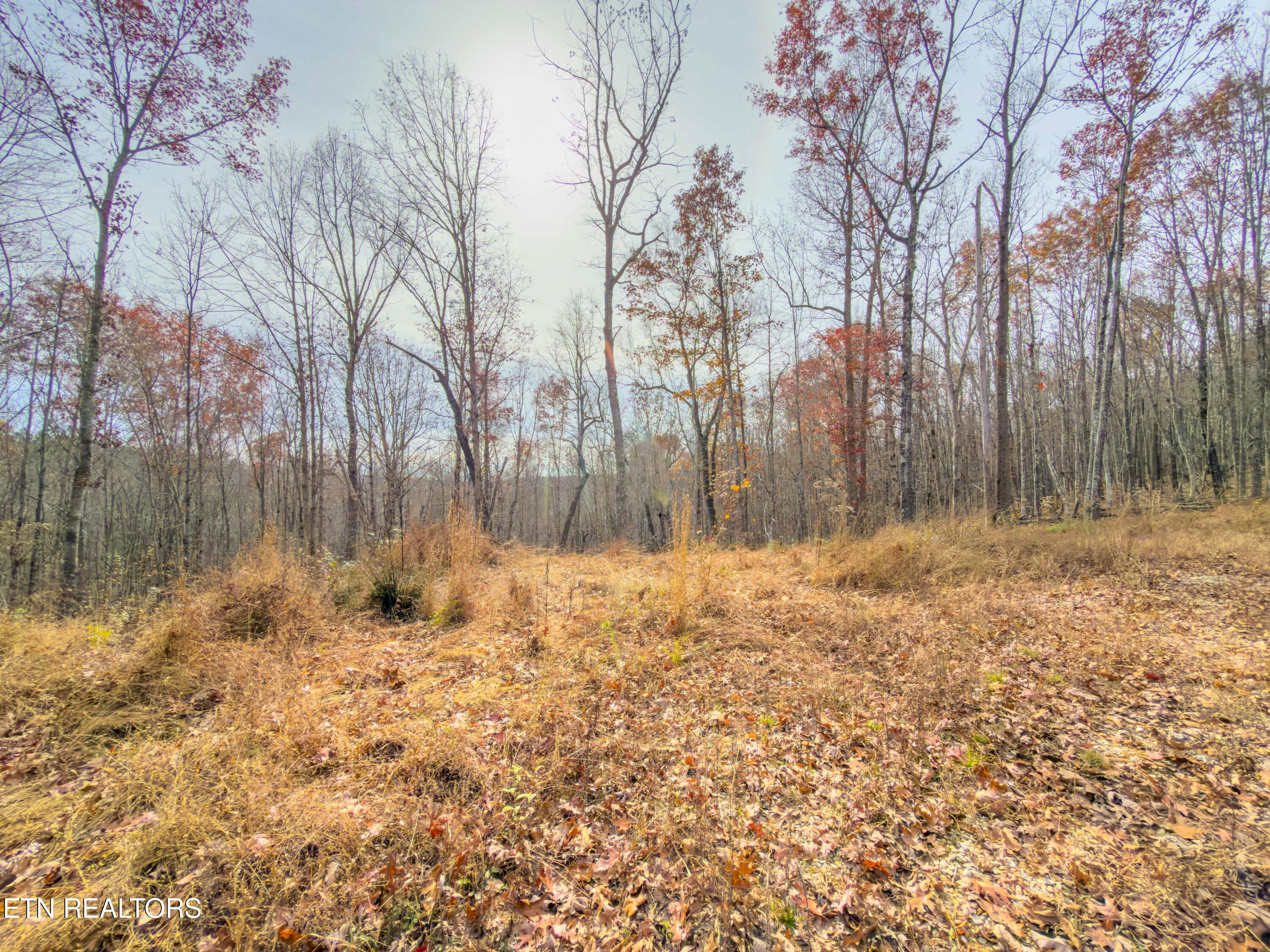 9745 Morgan County Highway Sunbright TN 37872