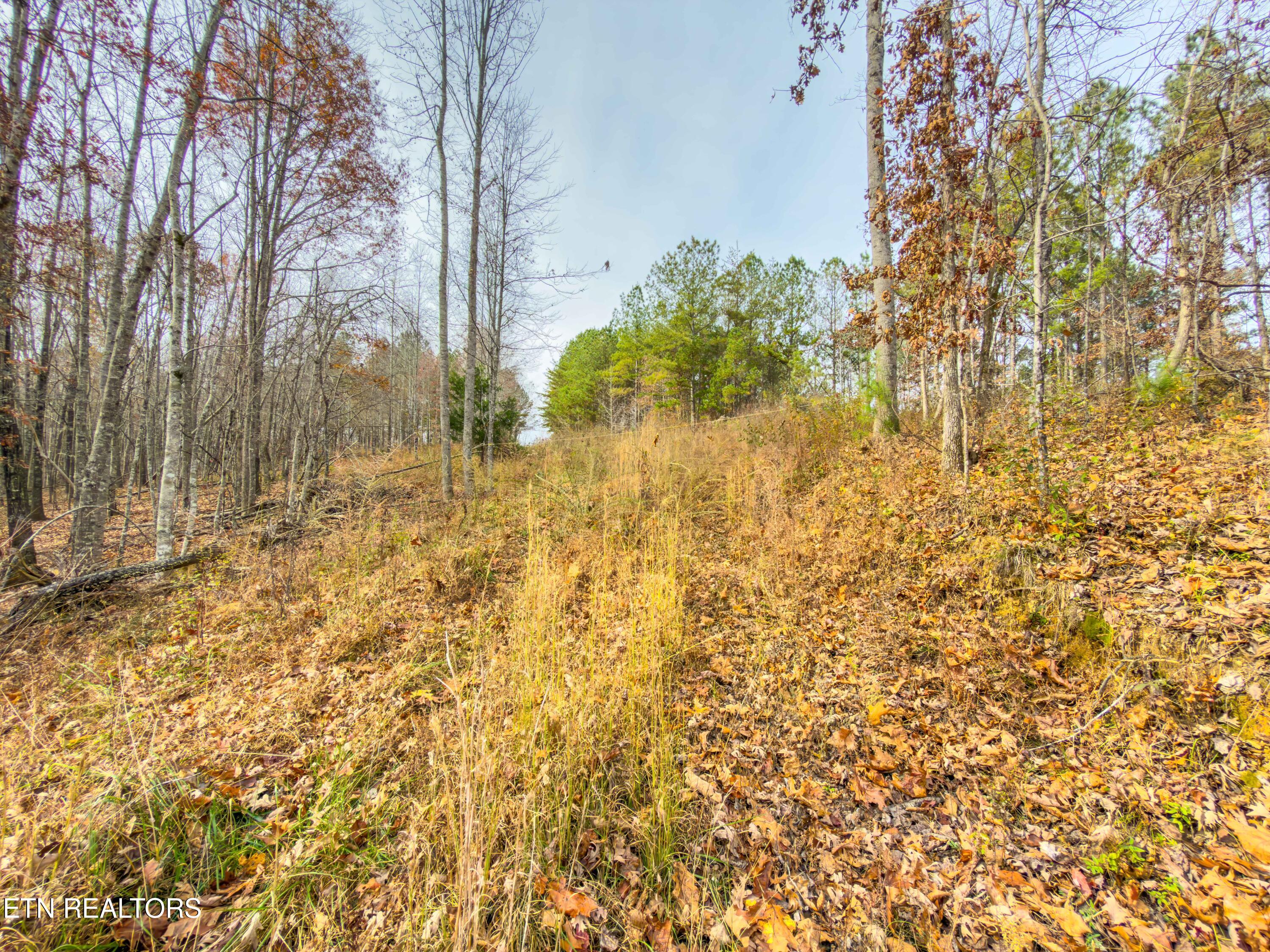 9745 Morgan County Highway Sunbright TN 37872