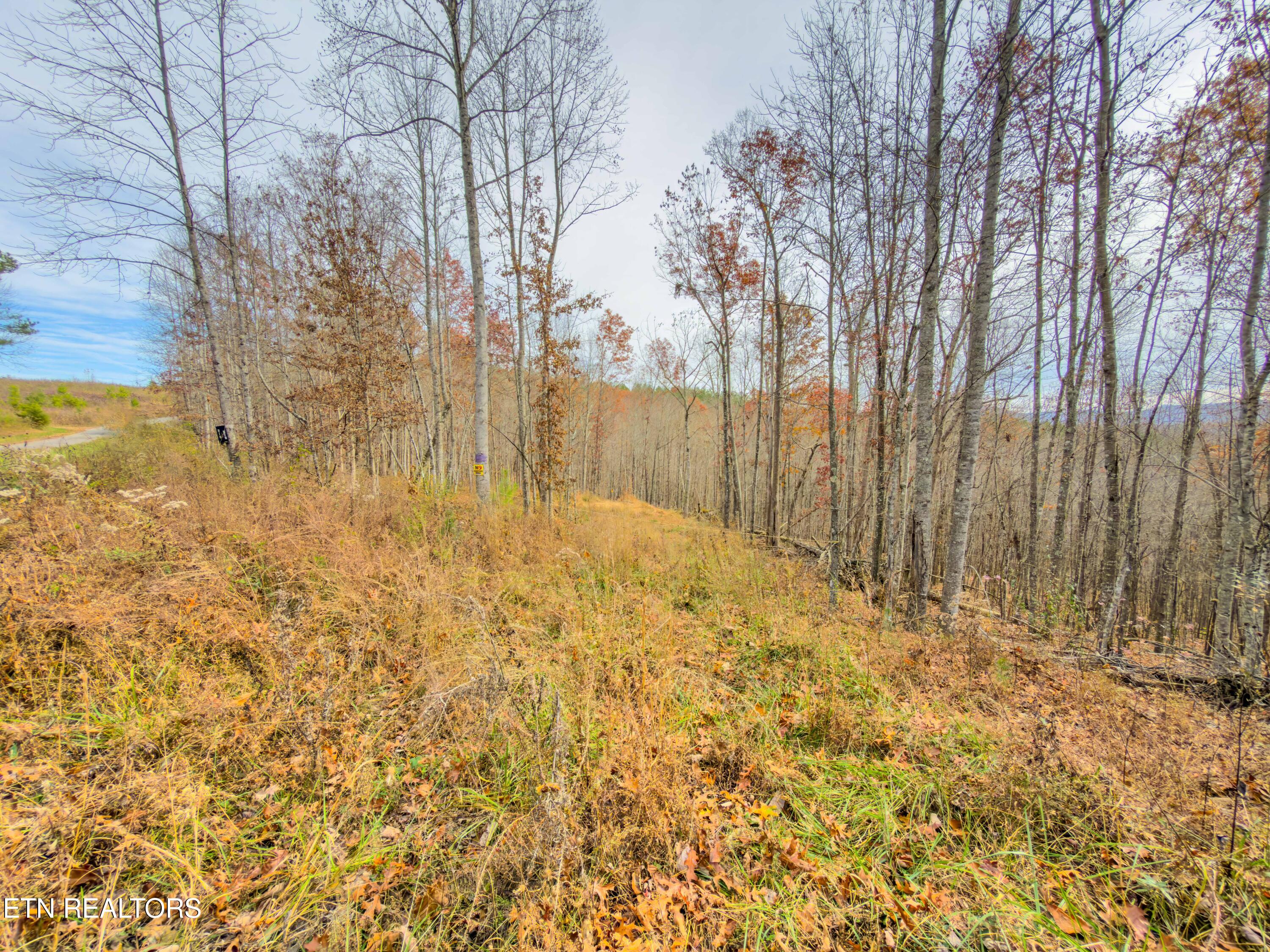 9745 Morgan County Highway Sunbright TN 37872