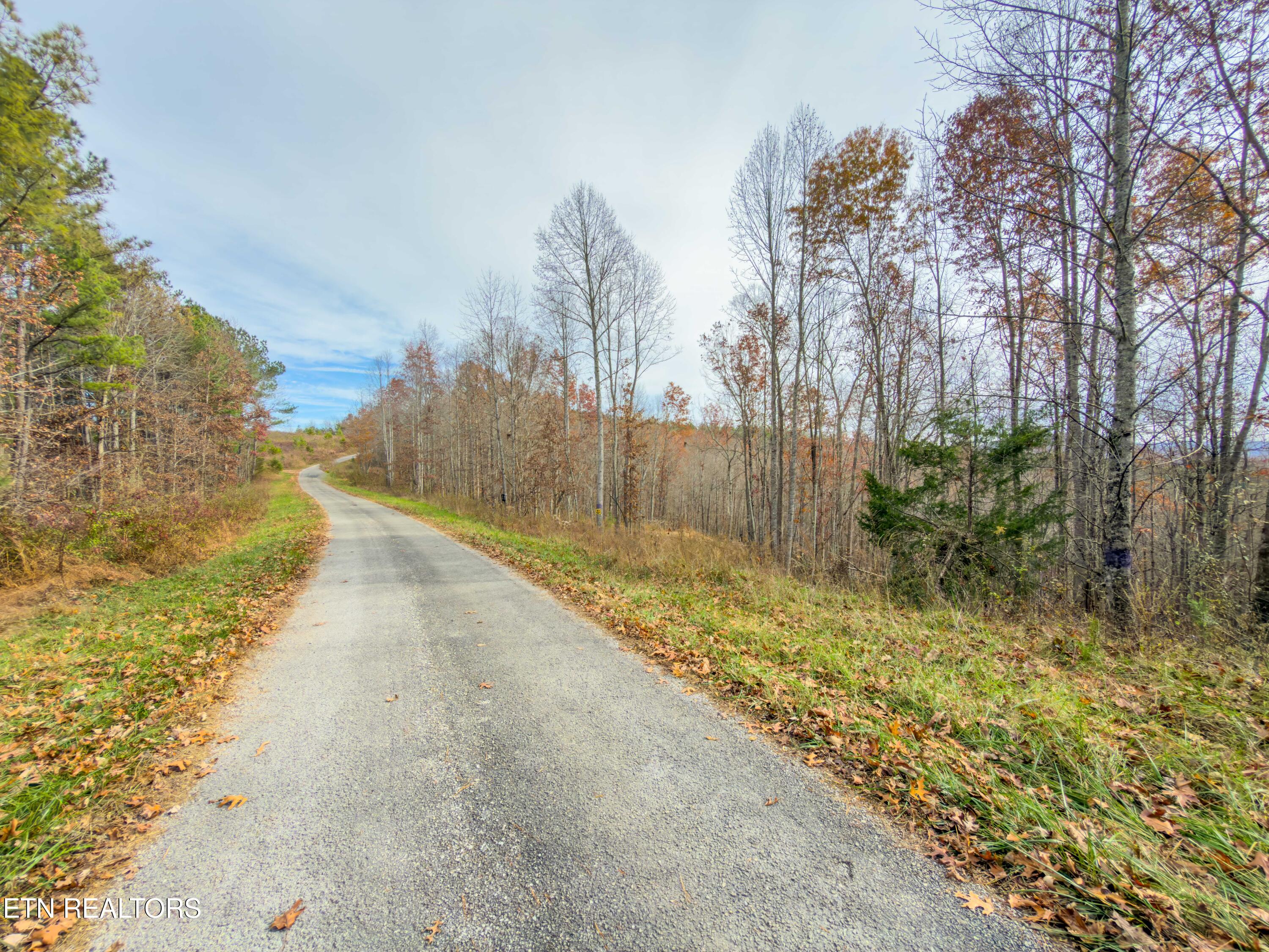 9745 Morgan County Highway Sunbright TN 37872