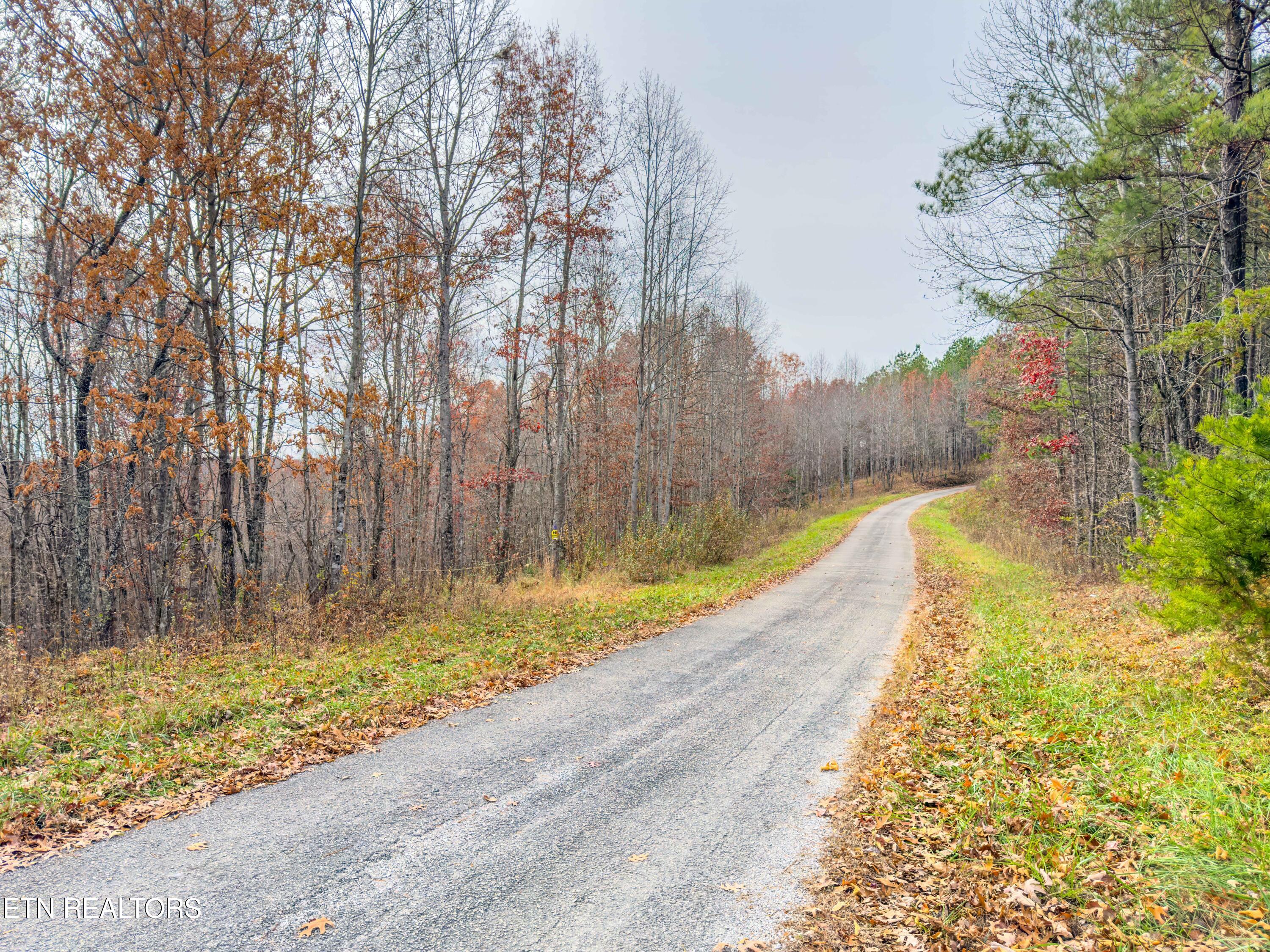 9745 Morgan County Highway Sunbright TN 37872