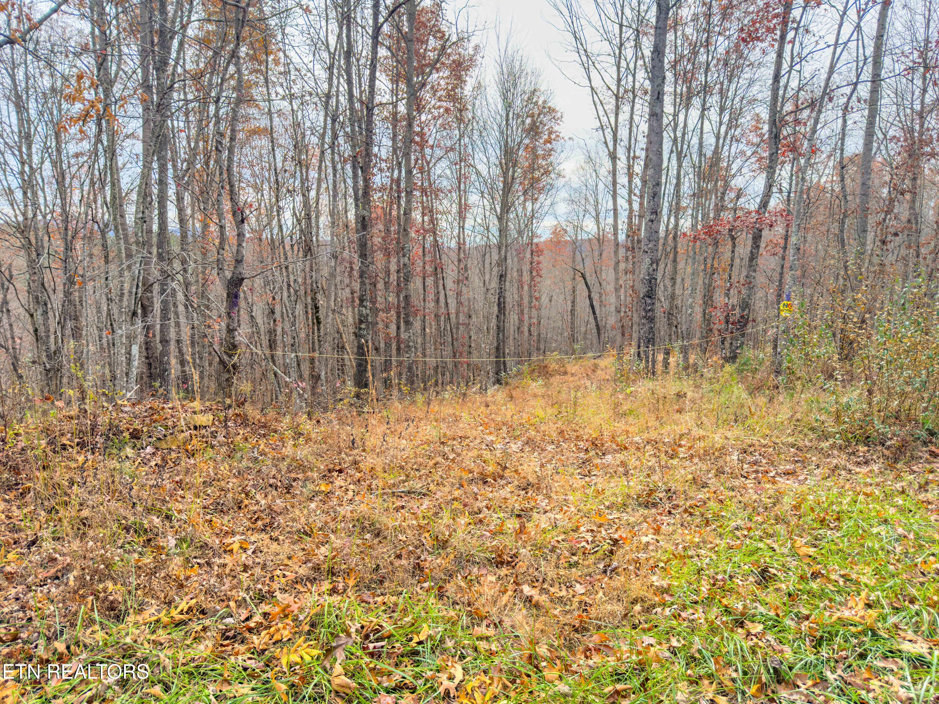 9745 Morgan County Highway Sunbright TN 37872