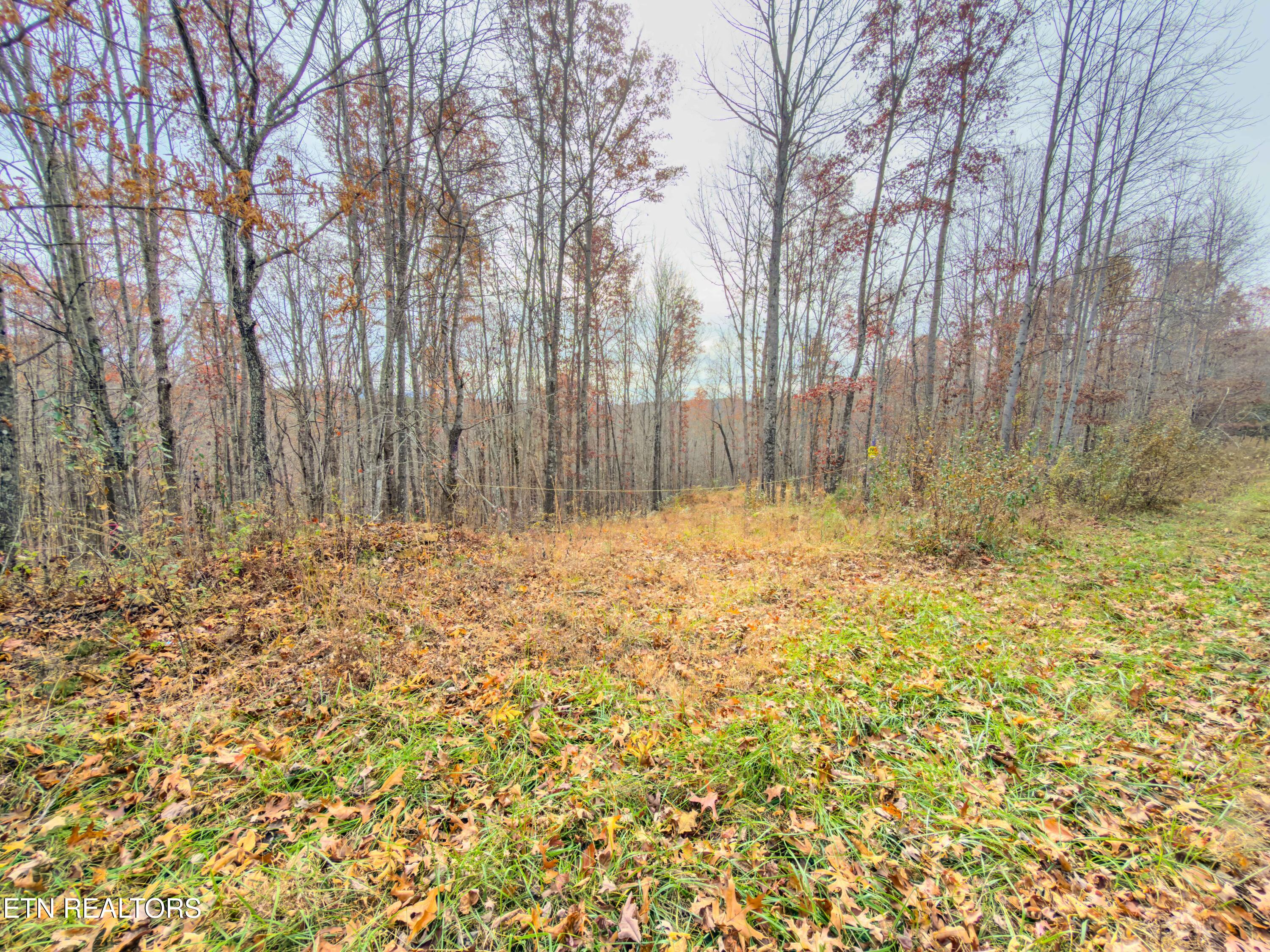 9745 Morgan County Highway Sunbright TN 37872