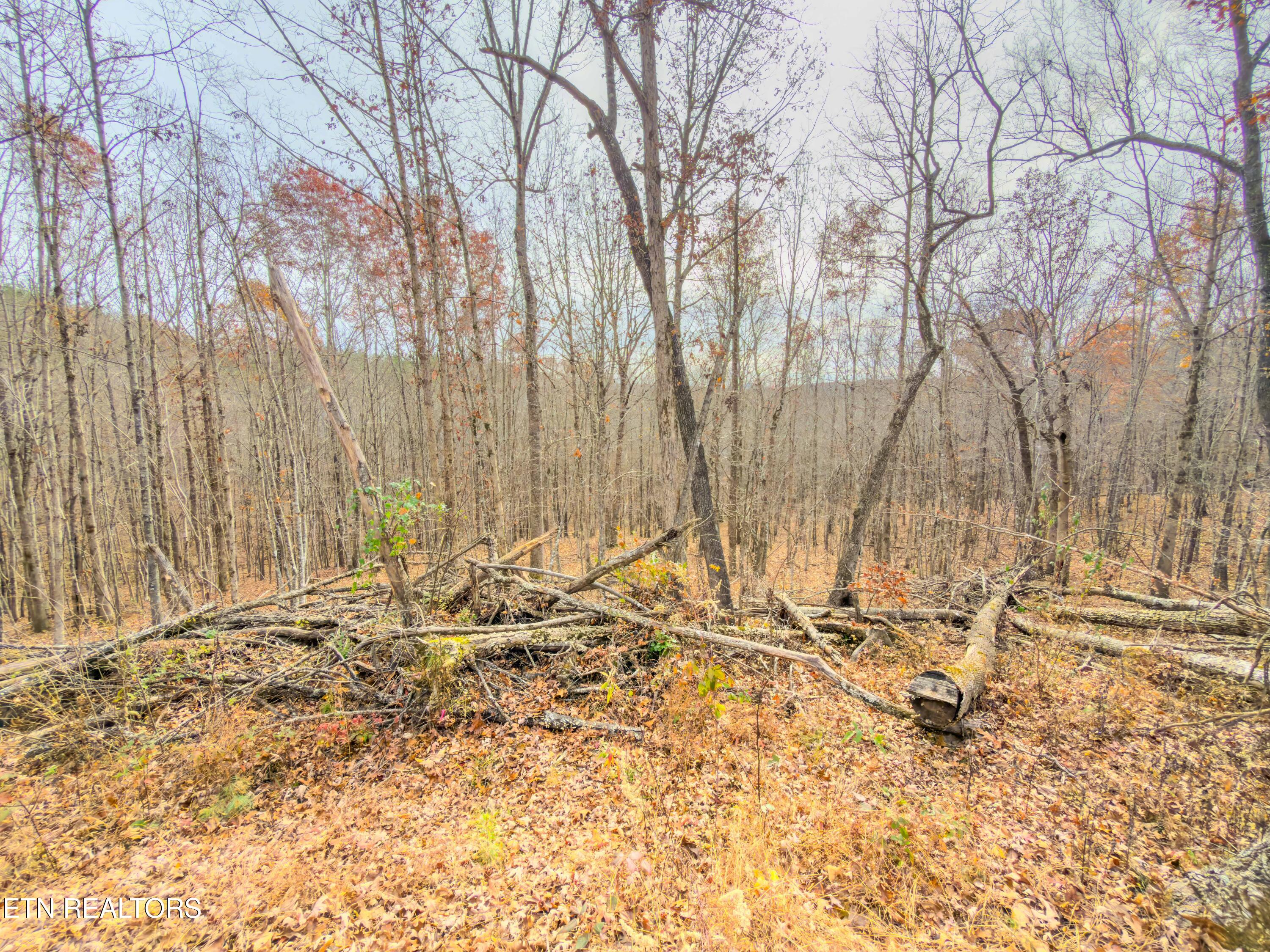 9745 Morgan County Highway Sunbright TN 37872