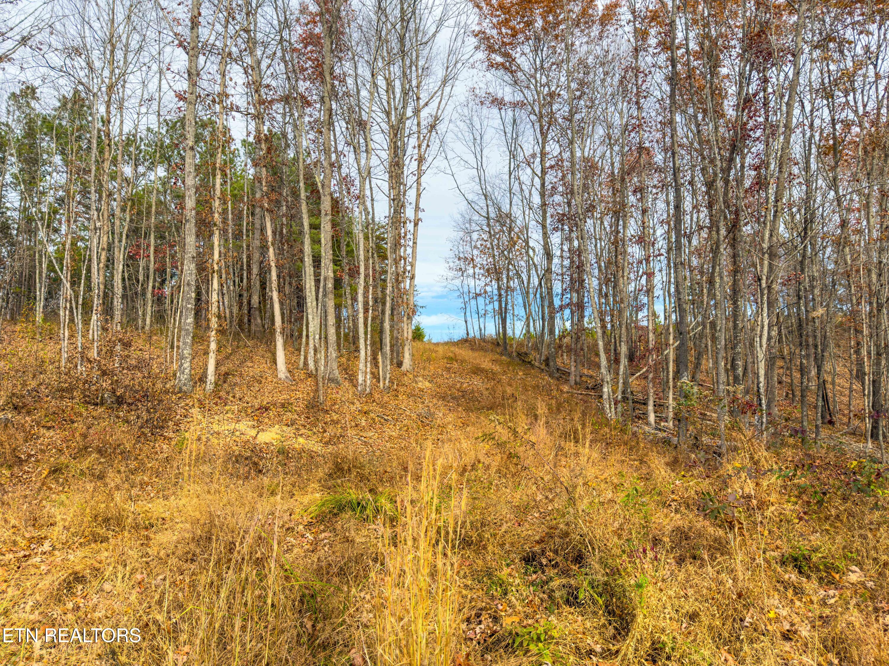 9745 Morgan County Highway Sunbright TN 37872