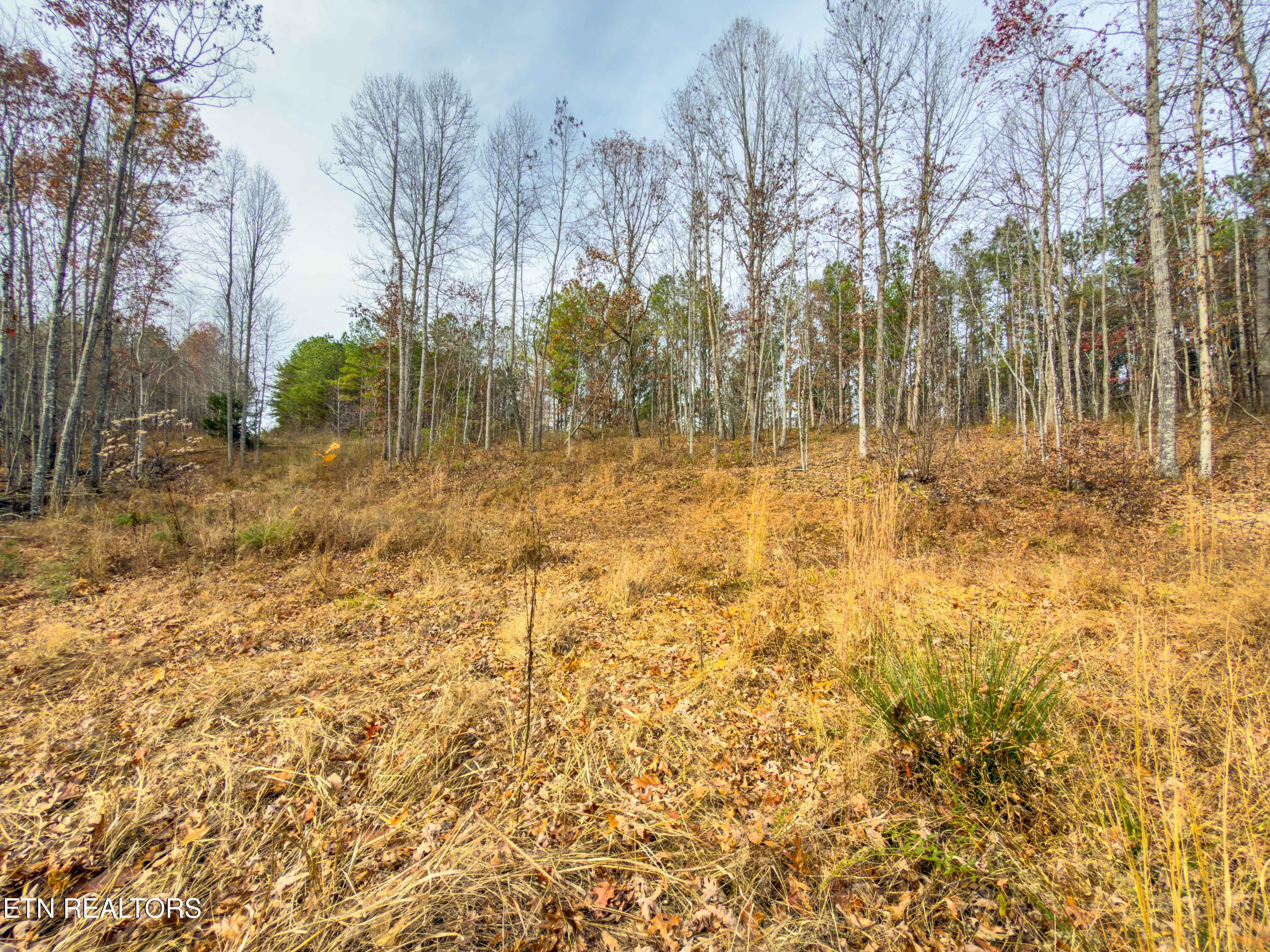 9745 Morgan County Highway Sunbright TN 37872