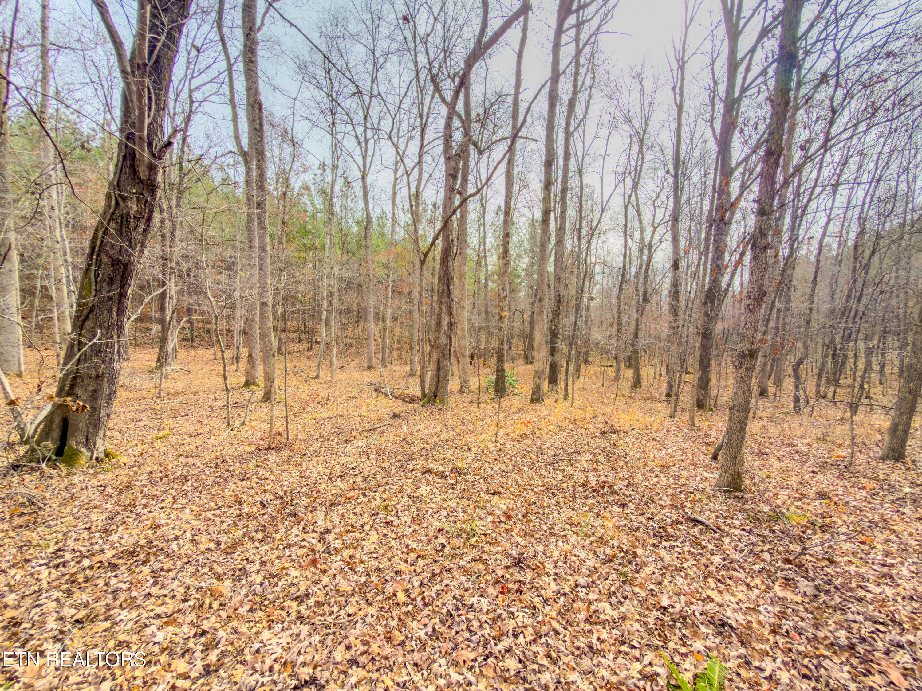 9745 Morgan County Highway Sunbright TN 37872