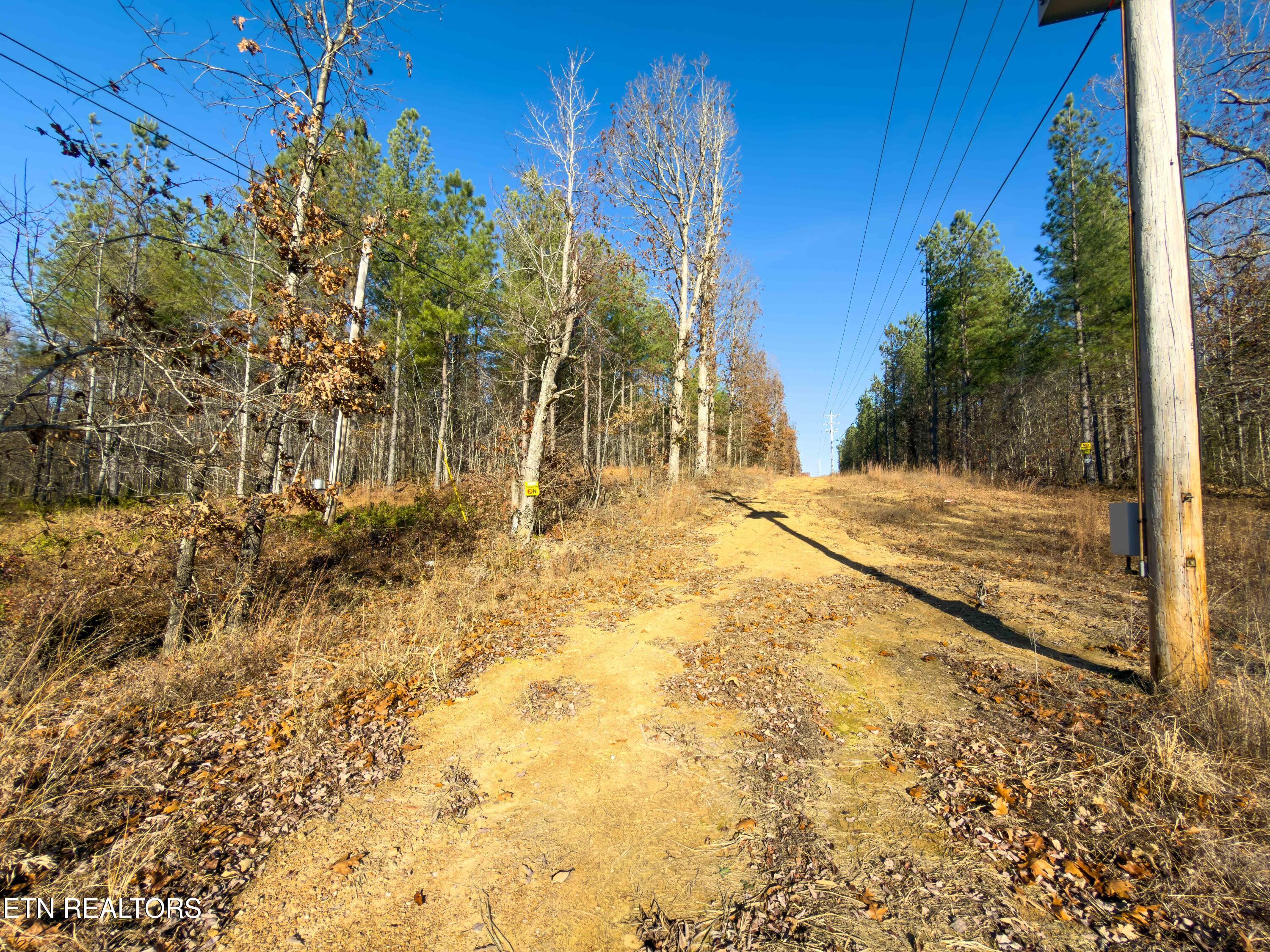 9745 Morgan County Highway Sunbright TN 37872