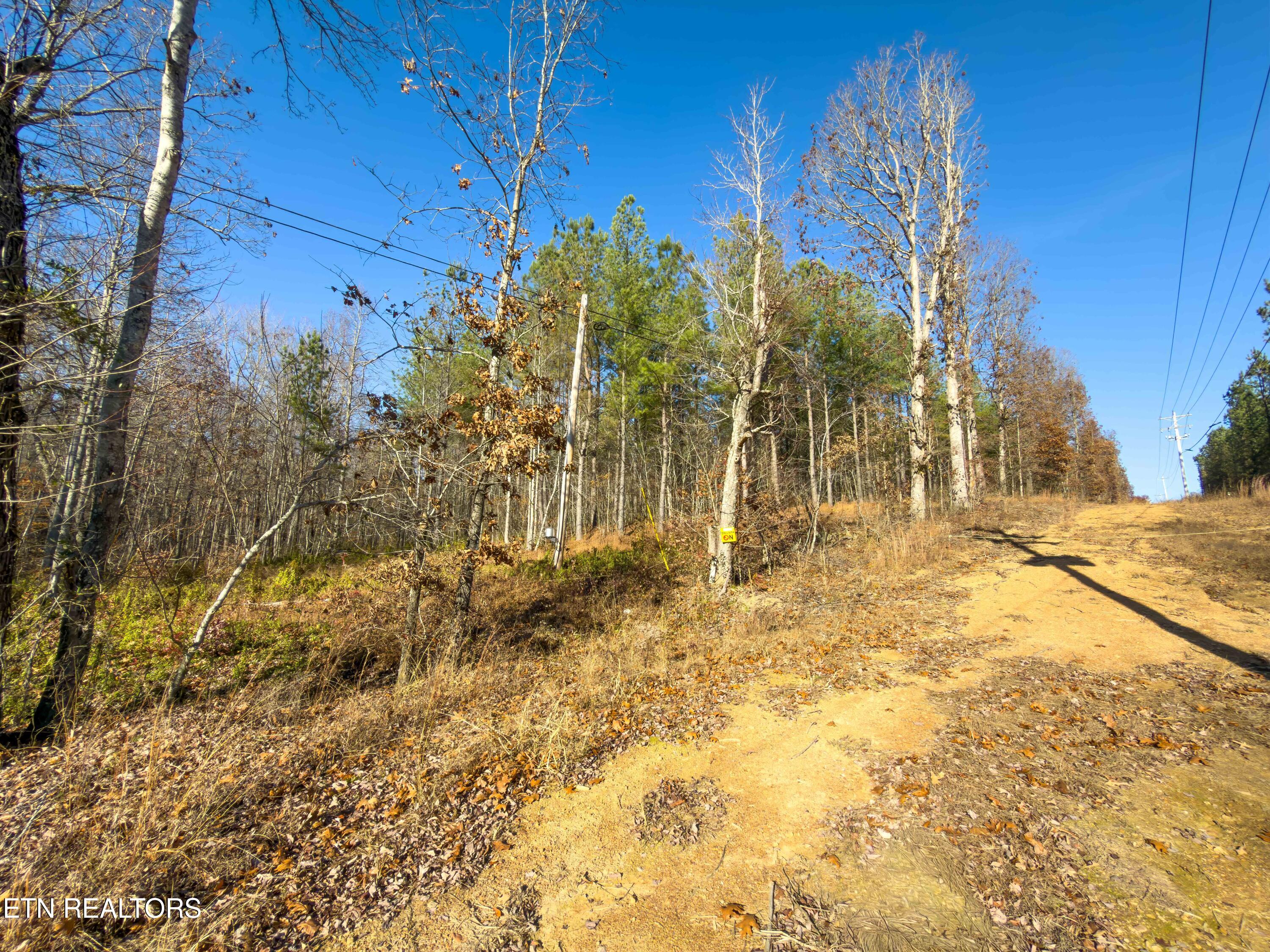 9745 Morgan County Highway Sunbright TN 37872