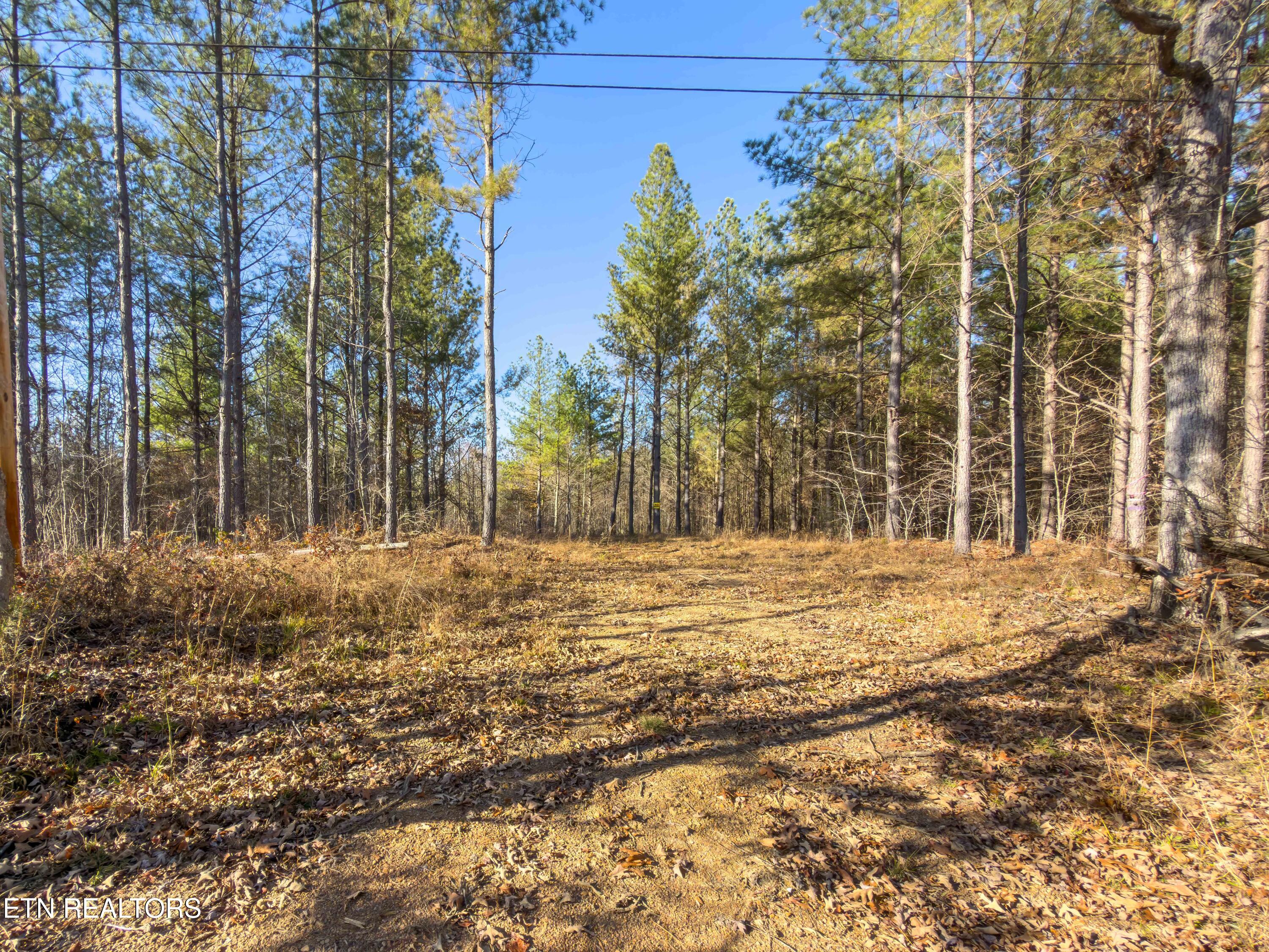 9745 Morgan County Highway Sunbright TN 37872