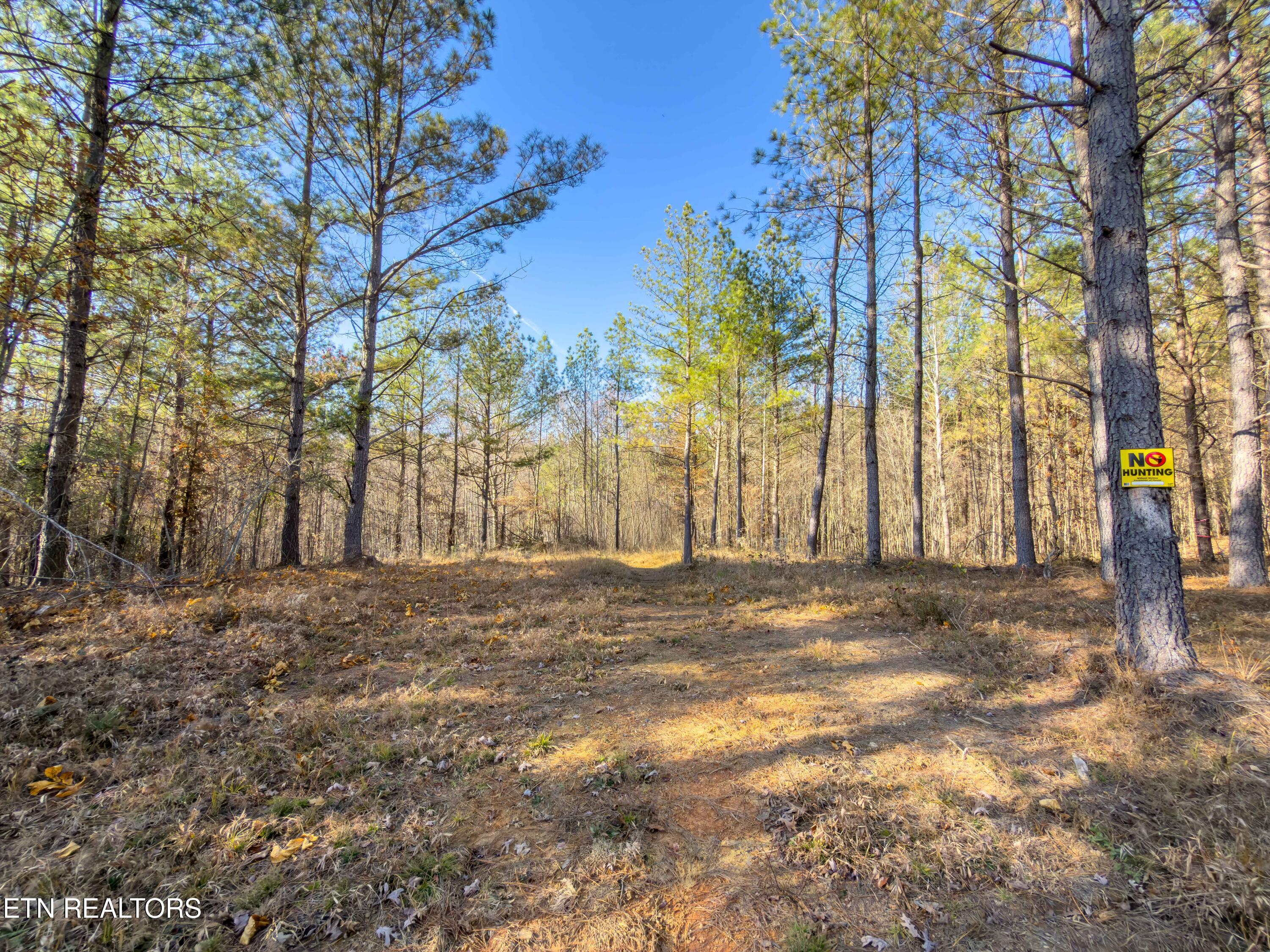 9745 Morgan County Highway Sunbright TN 37872