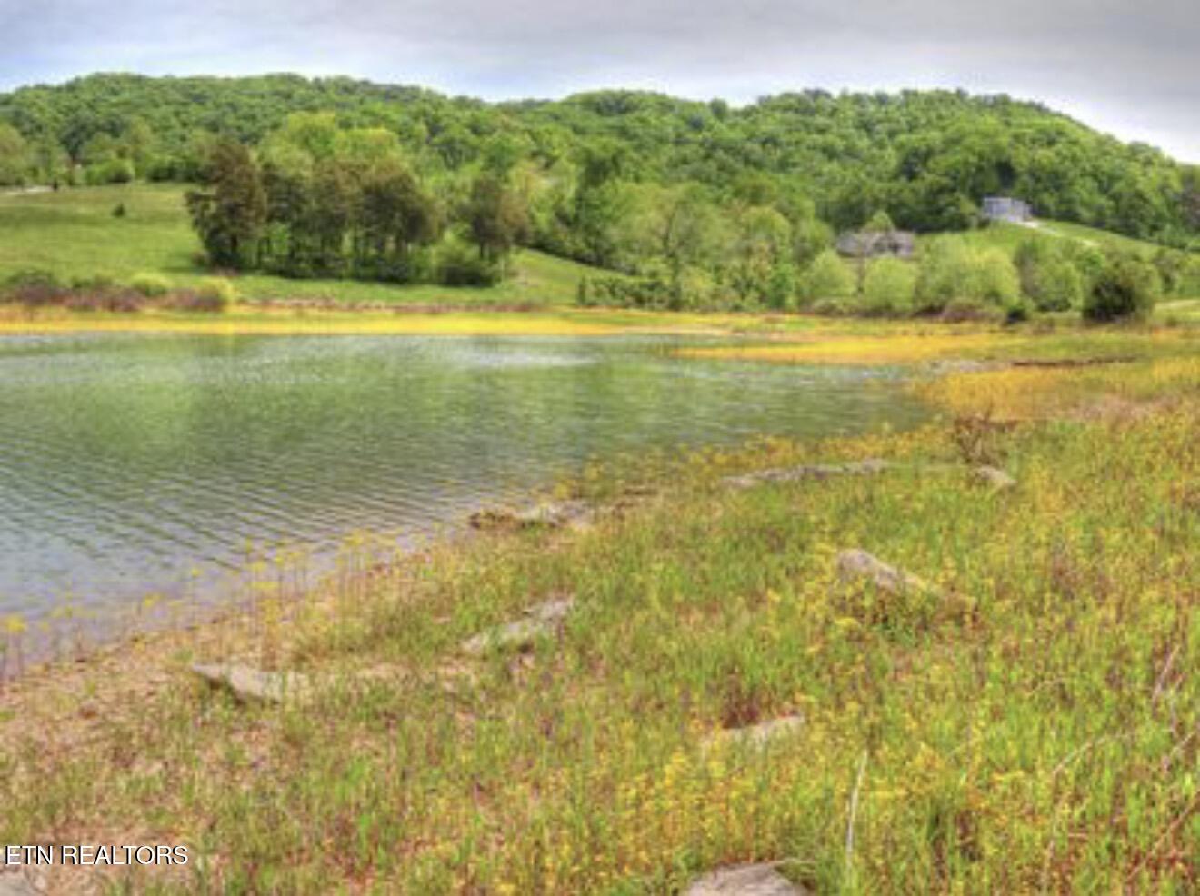 Lot 230 Ruth Circle Sharps Chapel TN 37866