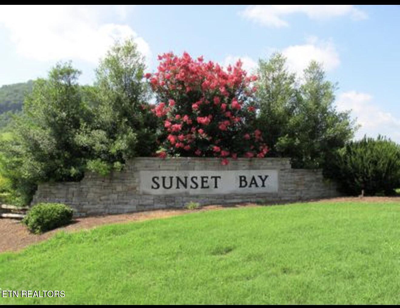 Lot 230 Ruth Circle Sharps Chapel TN 37866