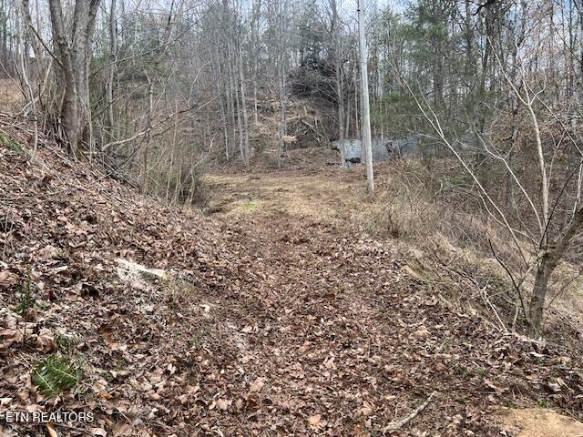 3071 Mica Way Cosby TN 37722